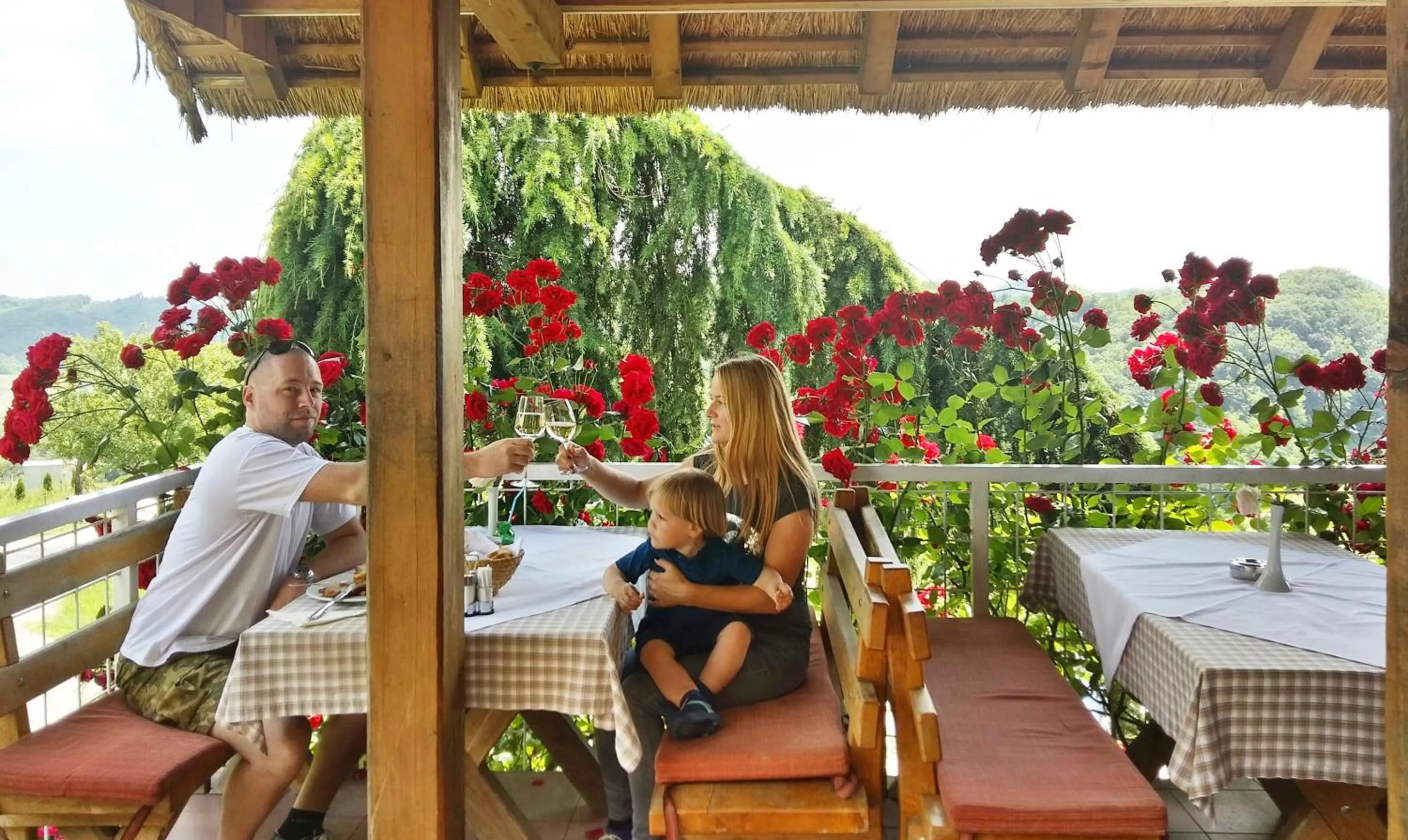 Restaurant/places to eat in Winery, Restaurant & Pension Vuglec Breg