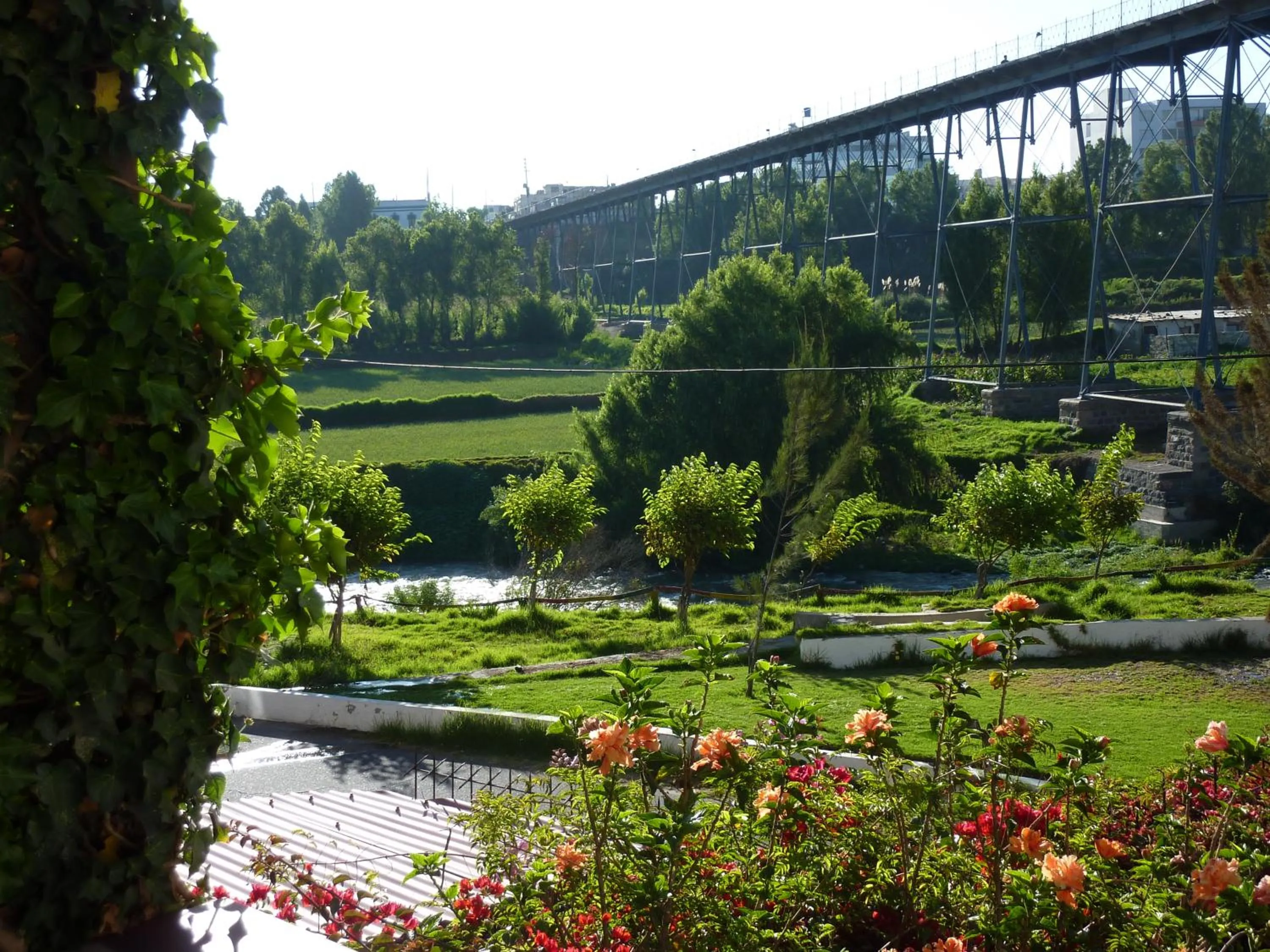 Natural landscape in Hotel La Casa de Tin tin