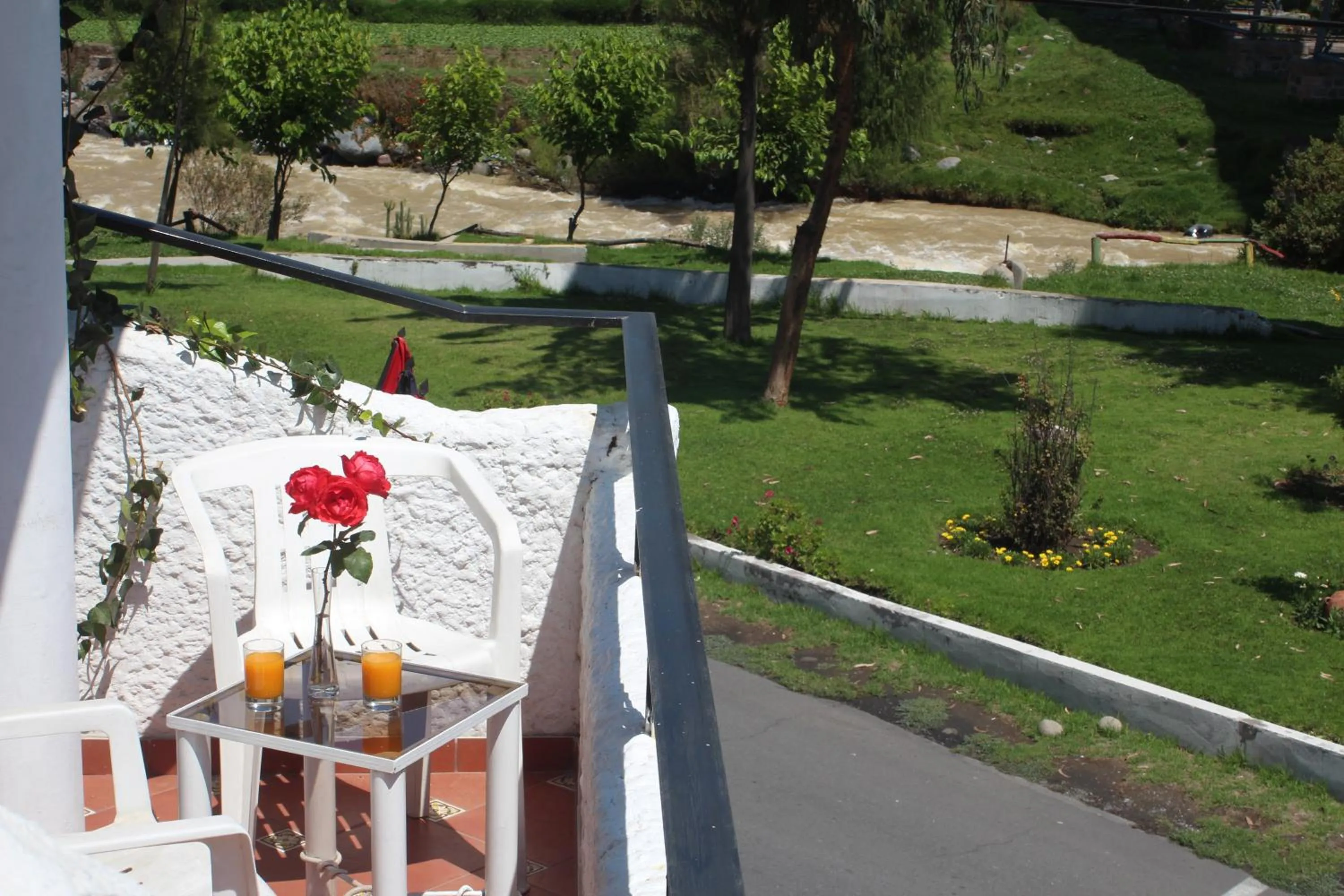 View (from property/room) in Hotel La Casa de Tin tin