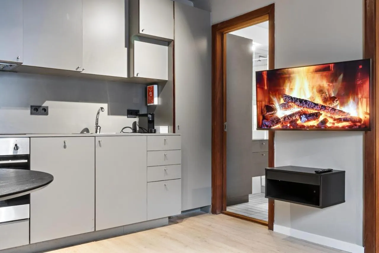 kitchen in Astro Apartments