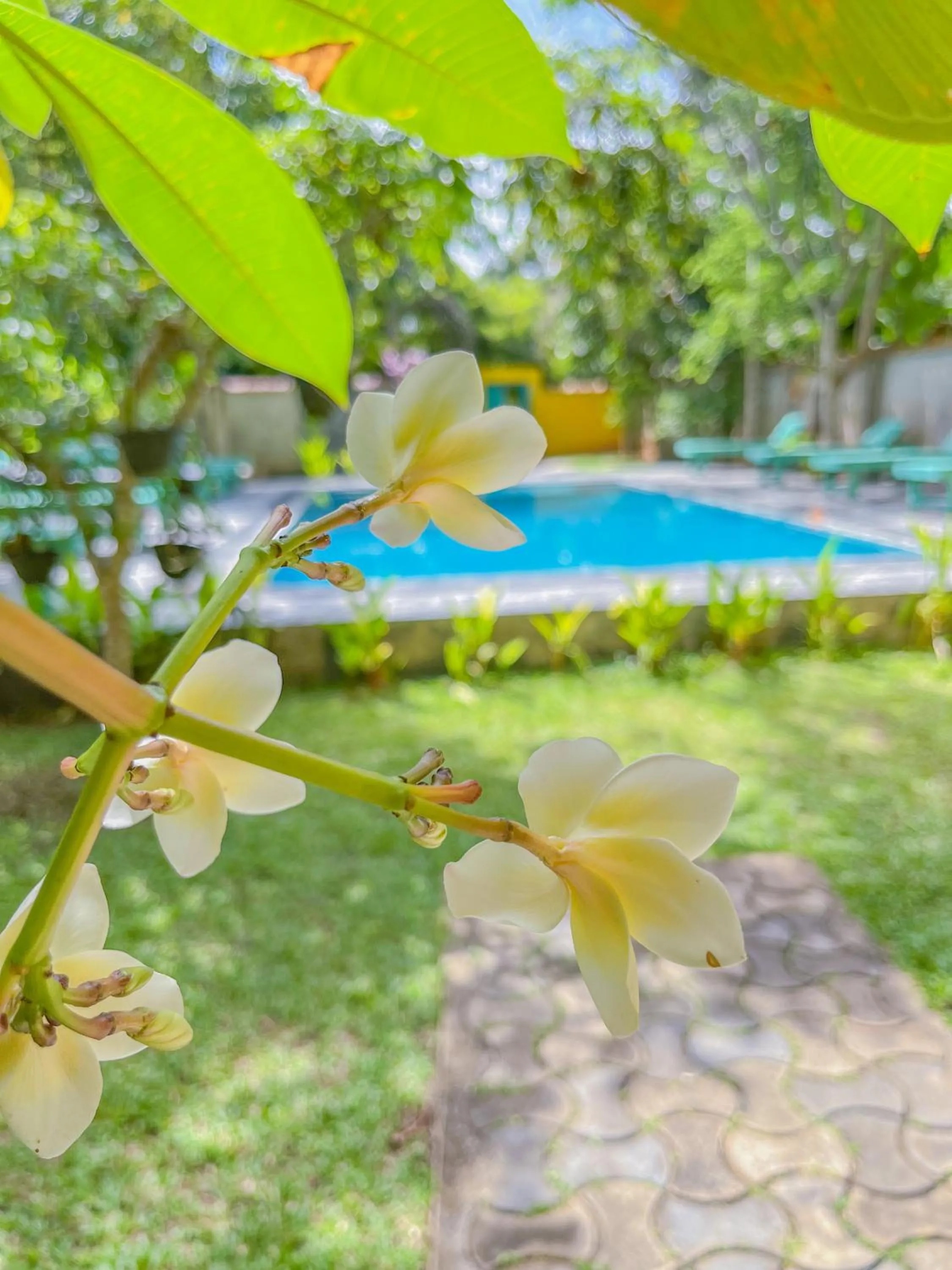 Garden in Easy Living