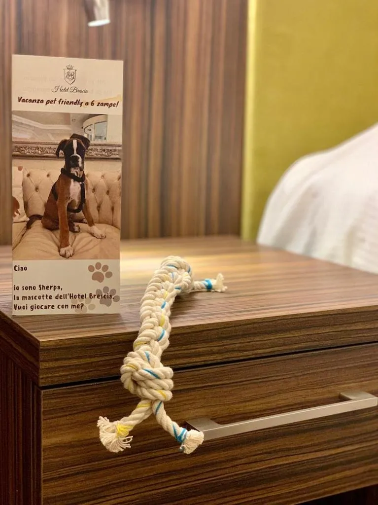 Pets, Bed in Hotel Brescia