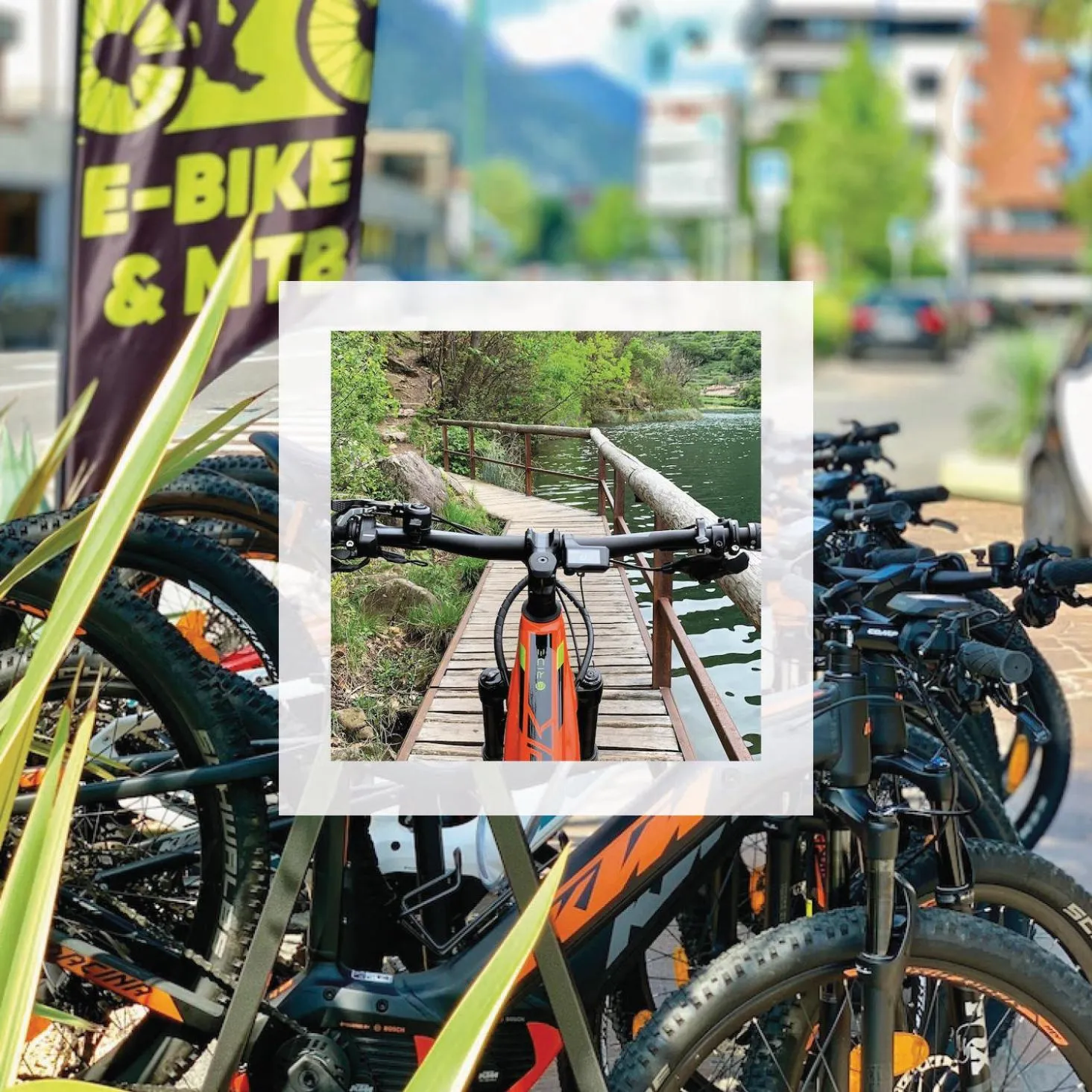 Cycling in Hotel Brescia