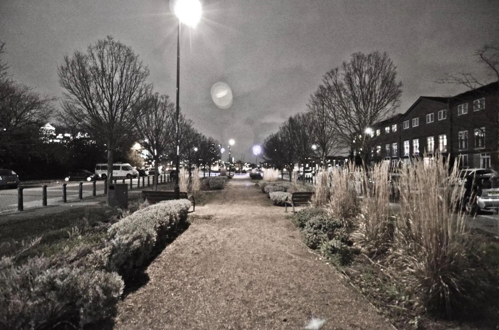 Garden in Thames View House Surrey Quays