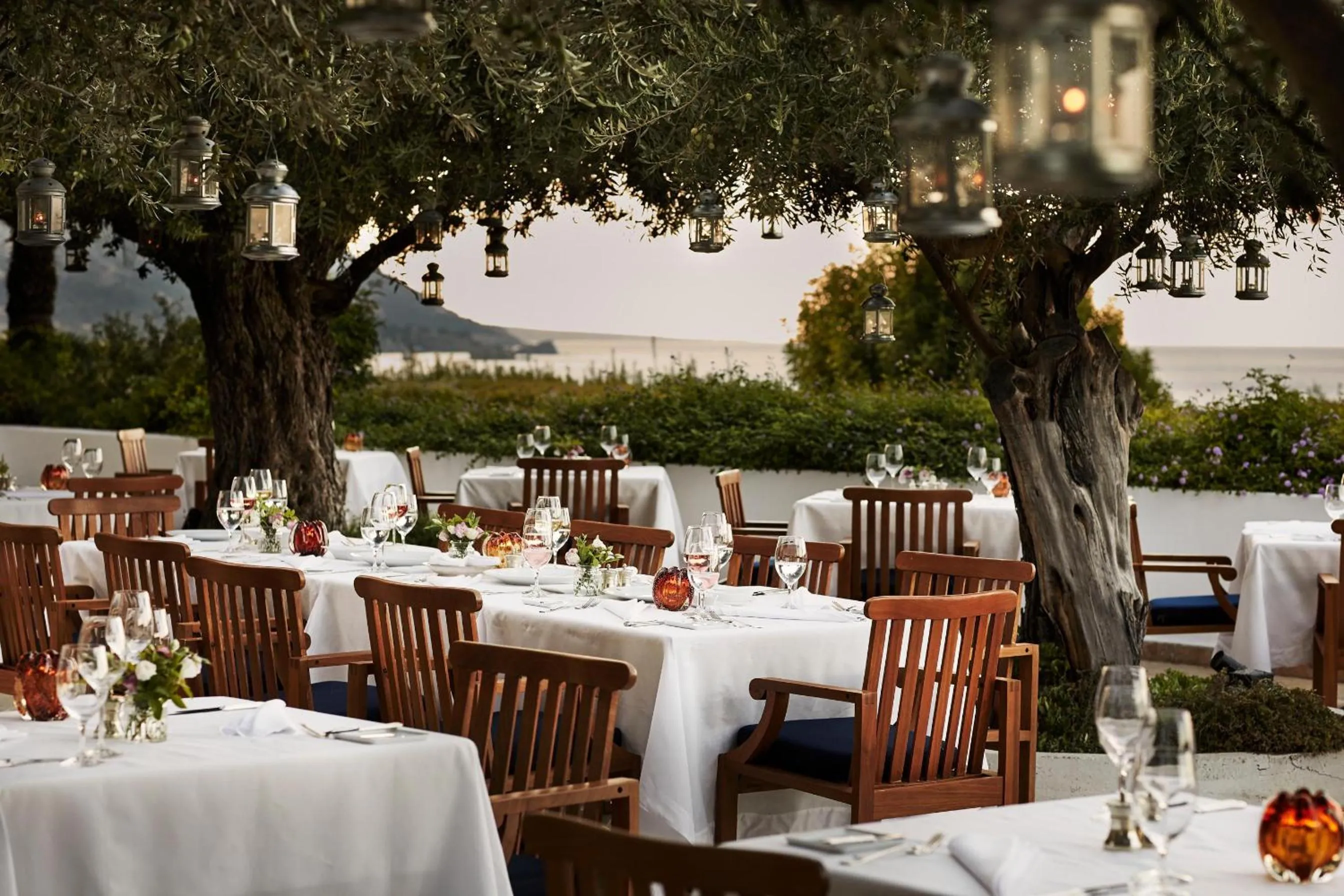 Restaurant/places to eat in Anassa