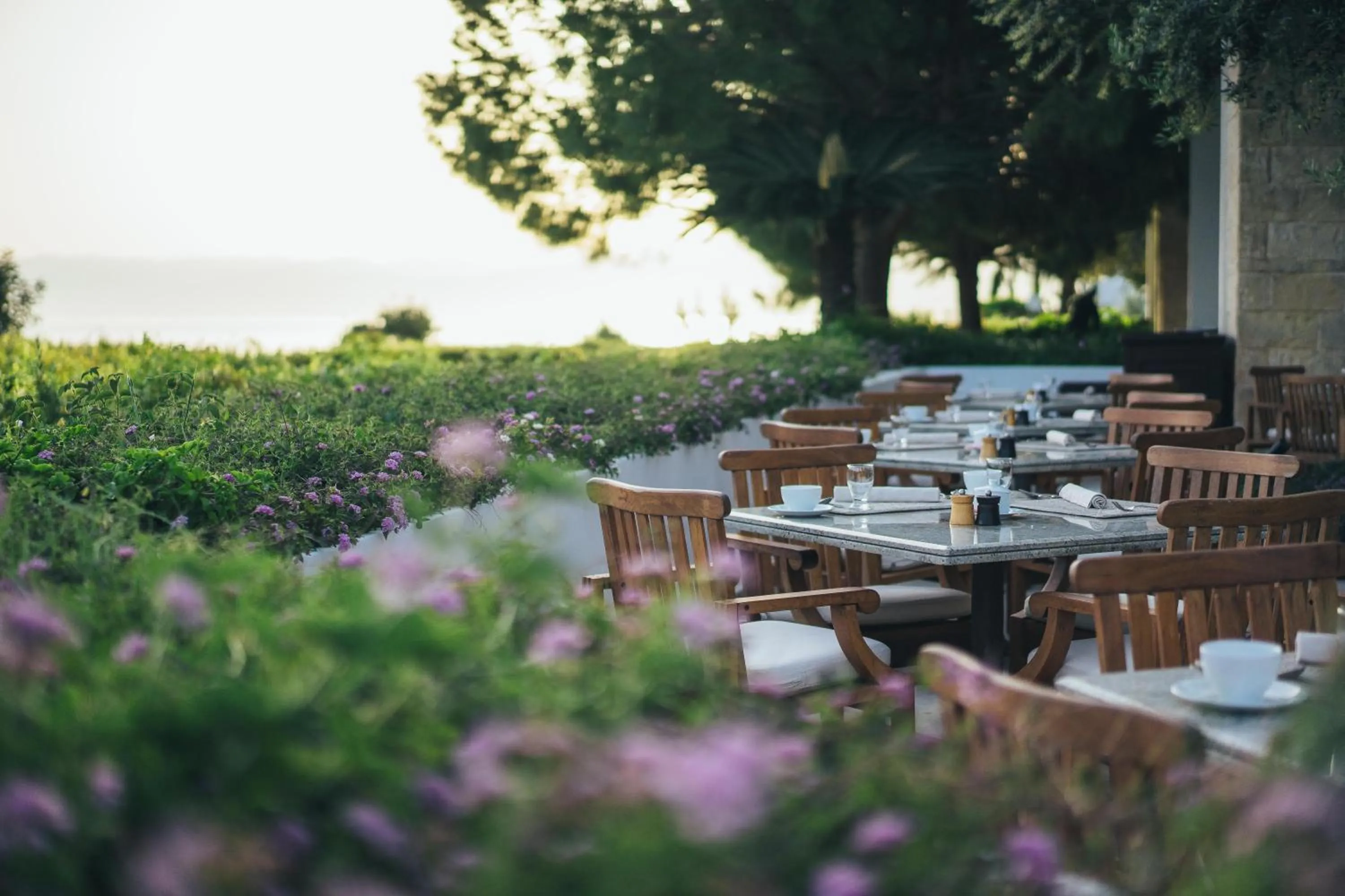 Restaurant/places to eat in Anassa