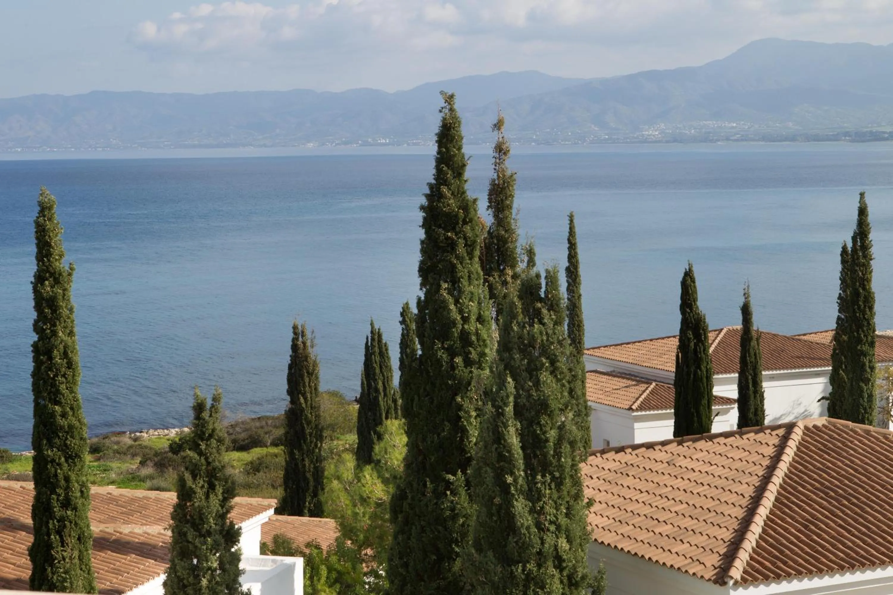 Photo of the whole room in Anassa