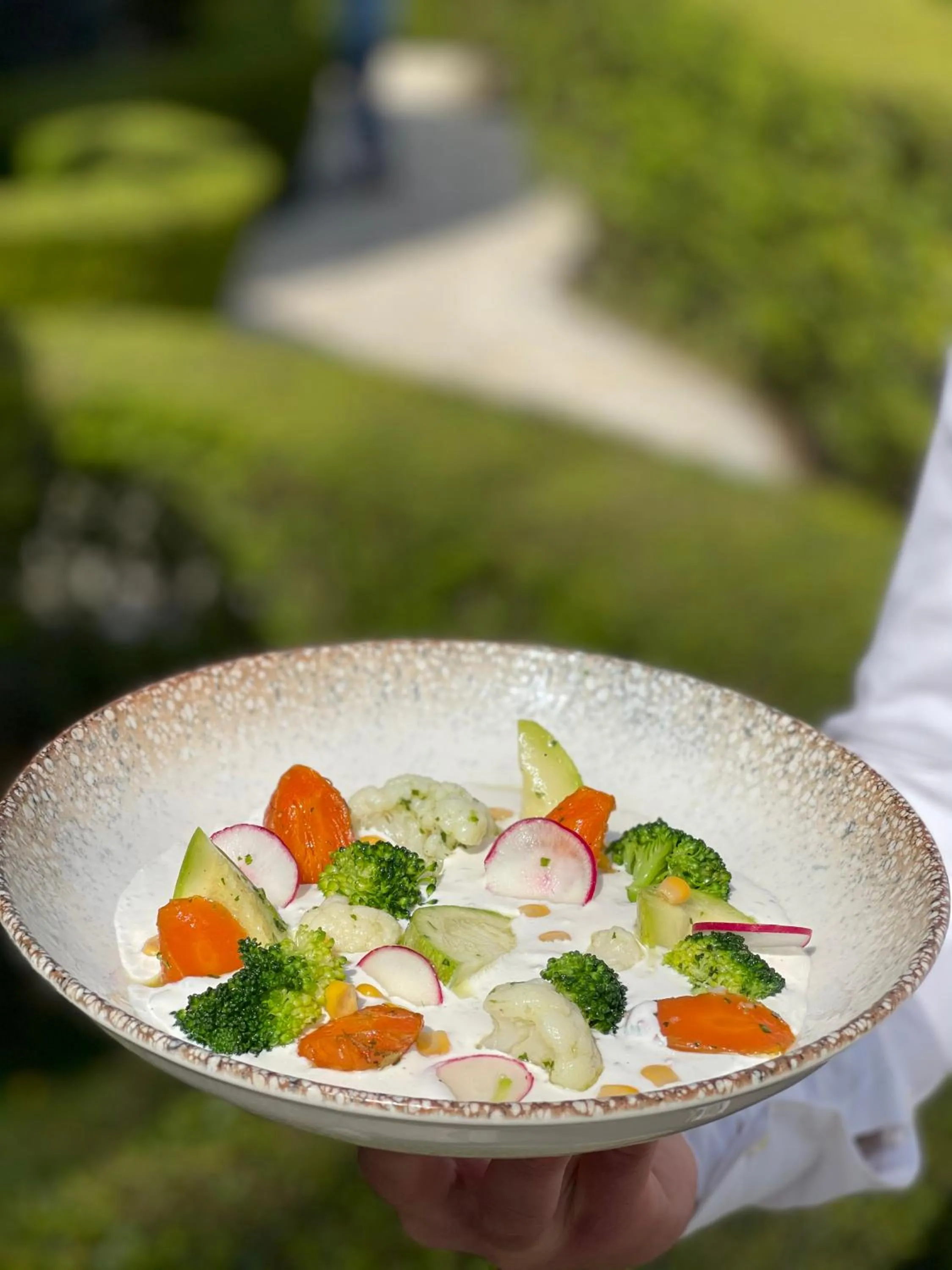 Food in PalmaNova Resort