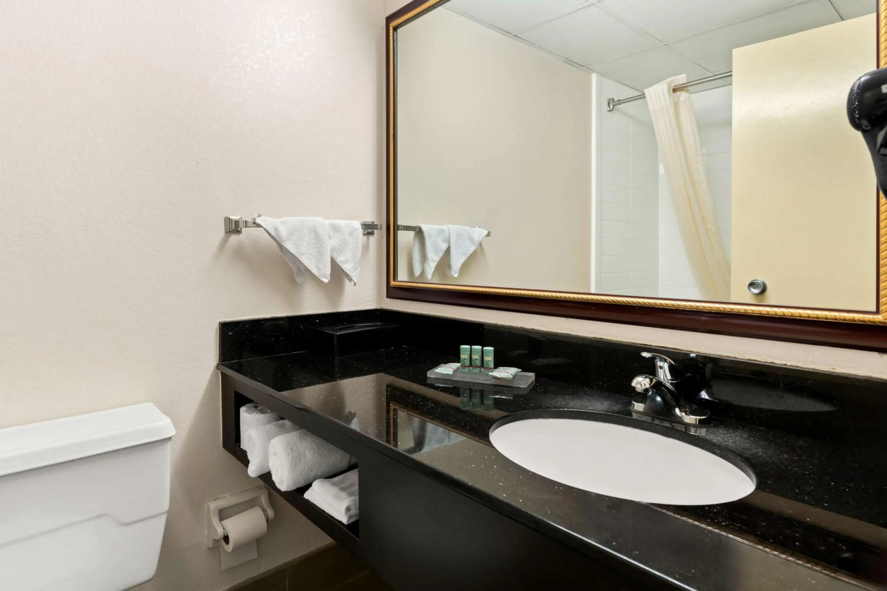 Bathroom in Best Western Riverside Inn