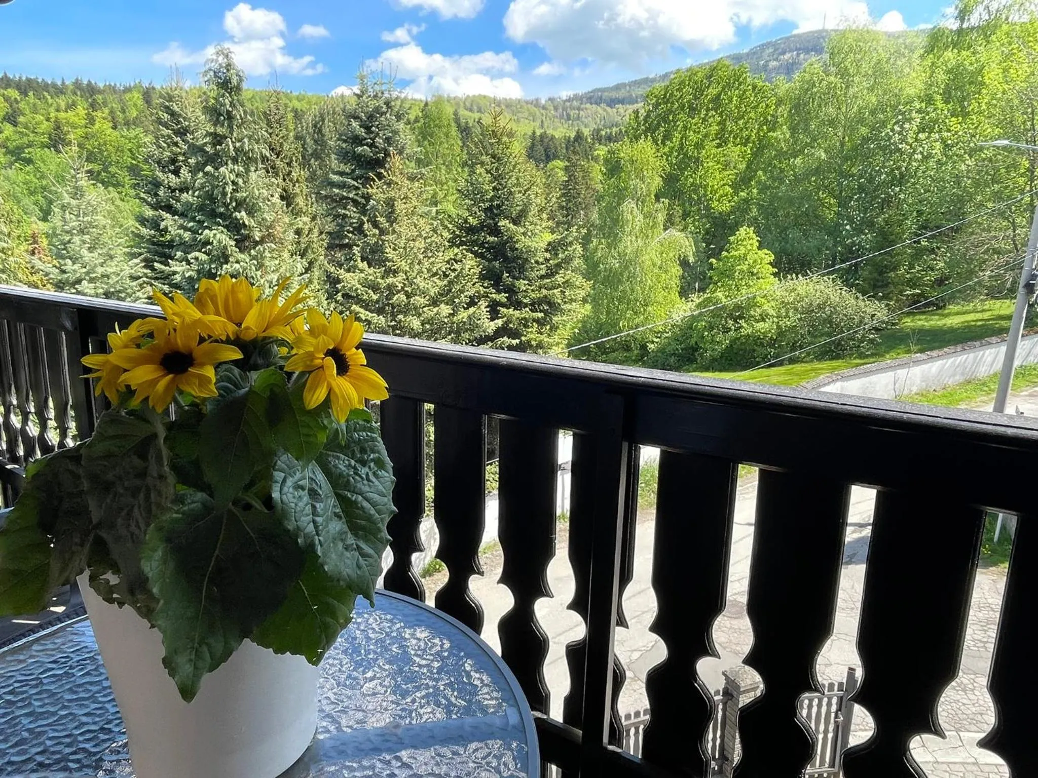 Spring in Sasanka przy Gondoli