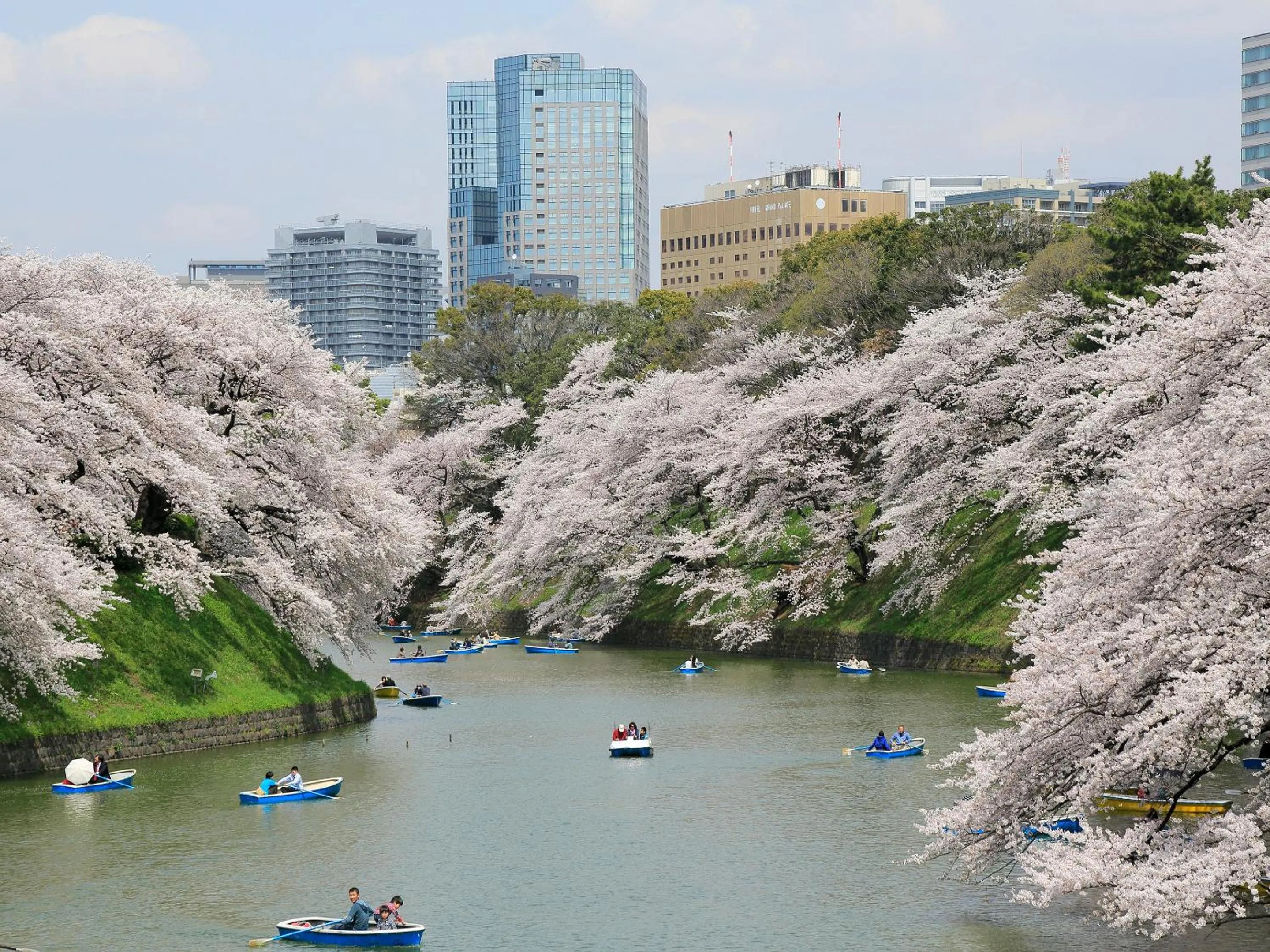 Other in Hotel Monterey Akasaka