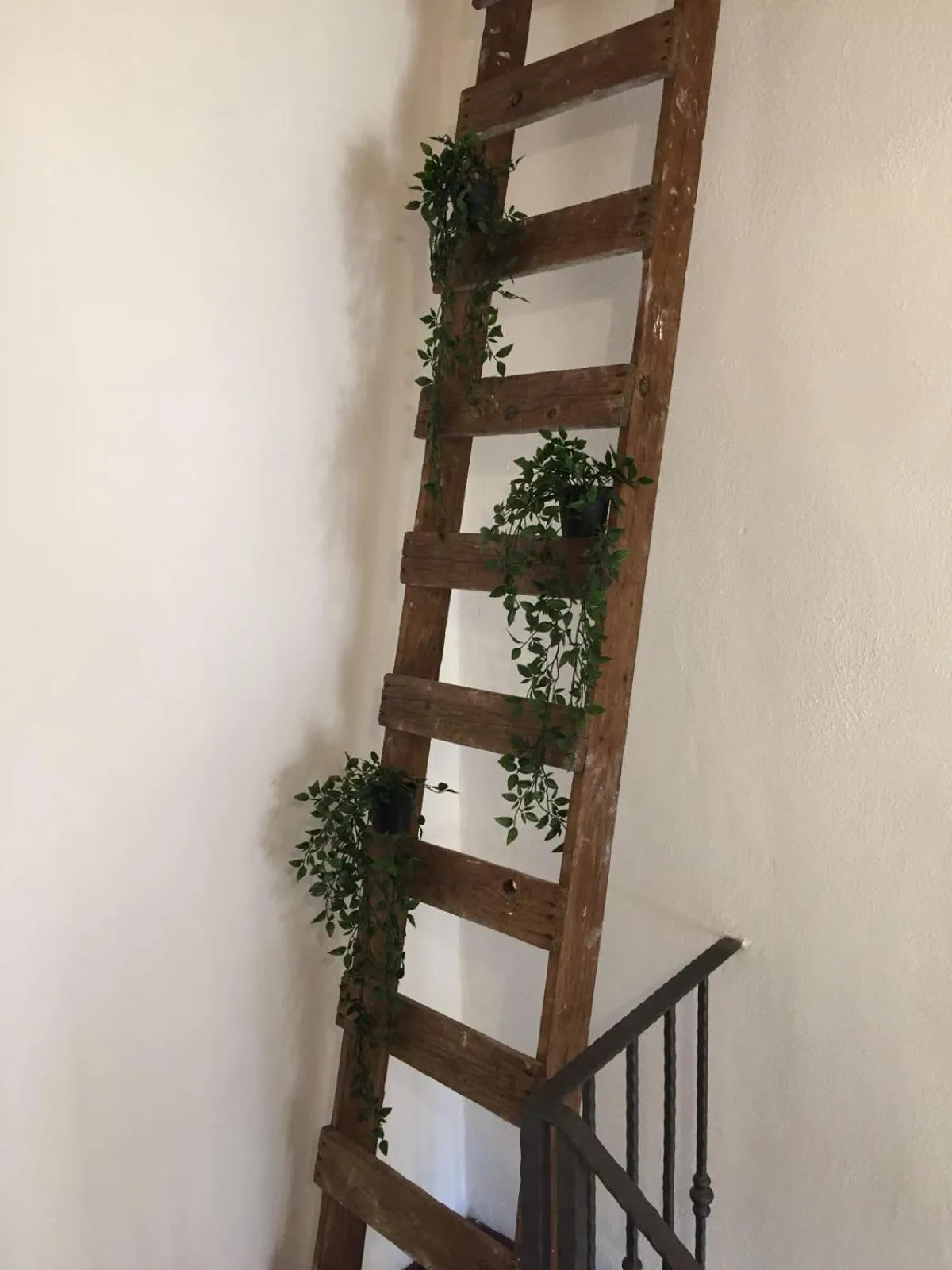 Decorative detail in B&B La Corte San Francesco