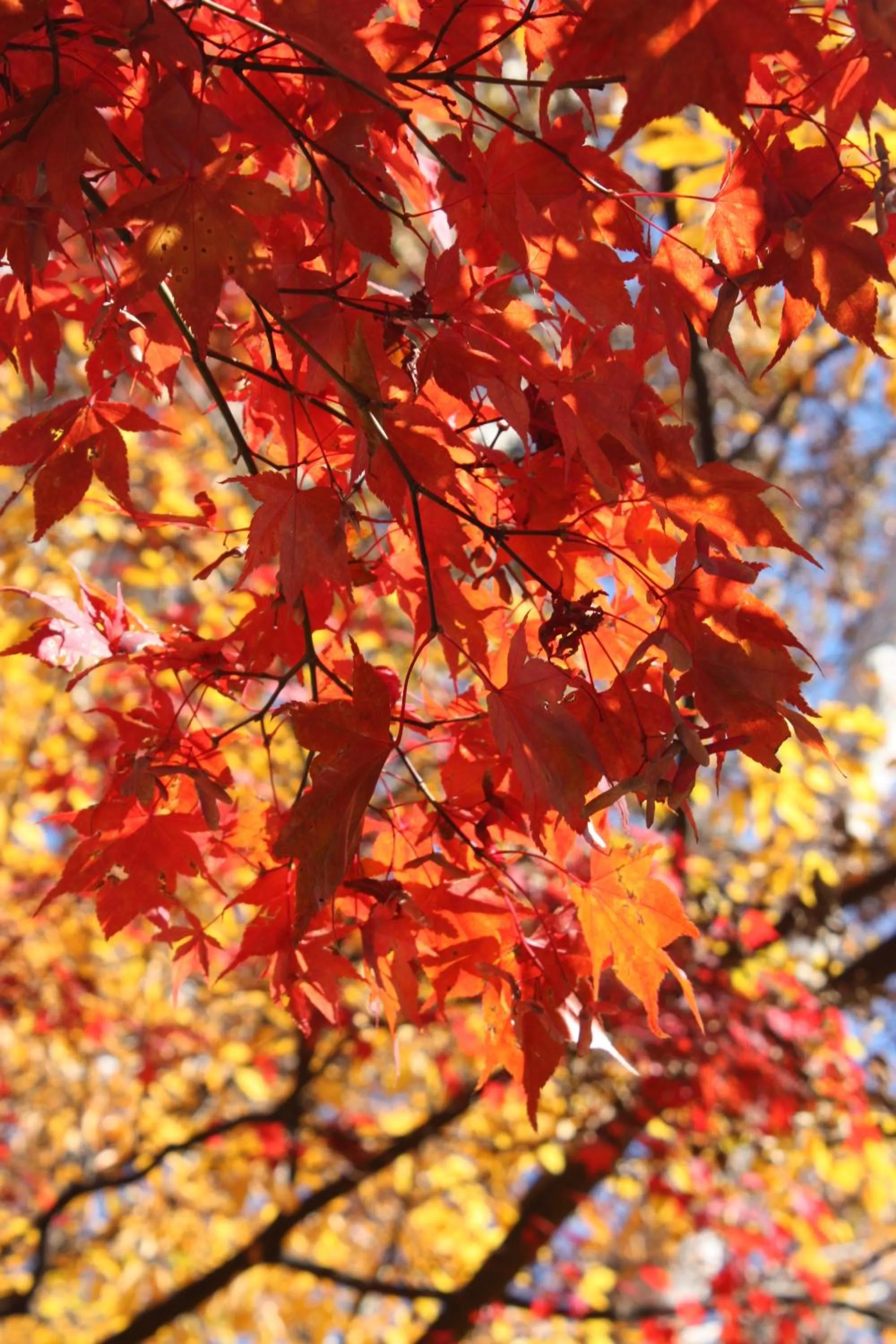 Other in Villa Soleil