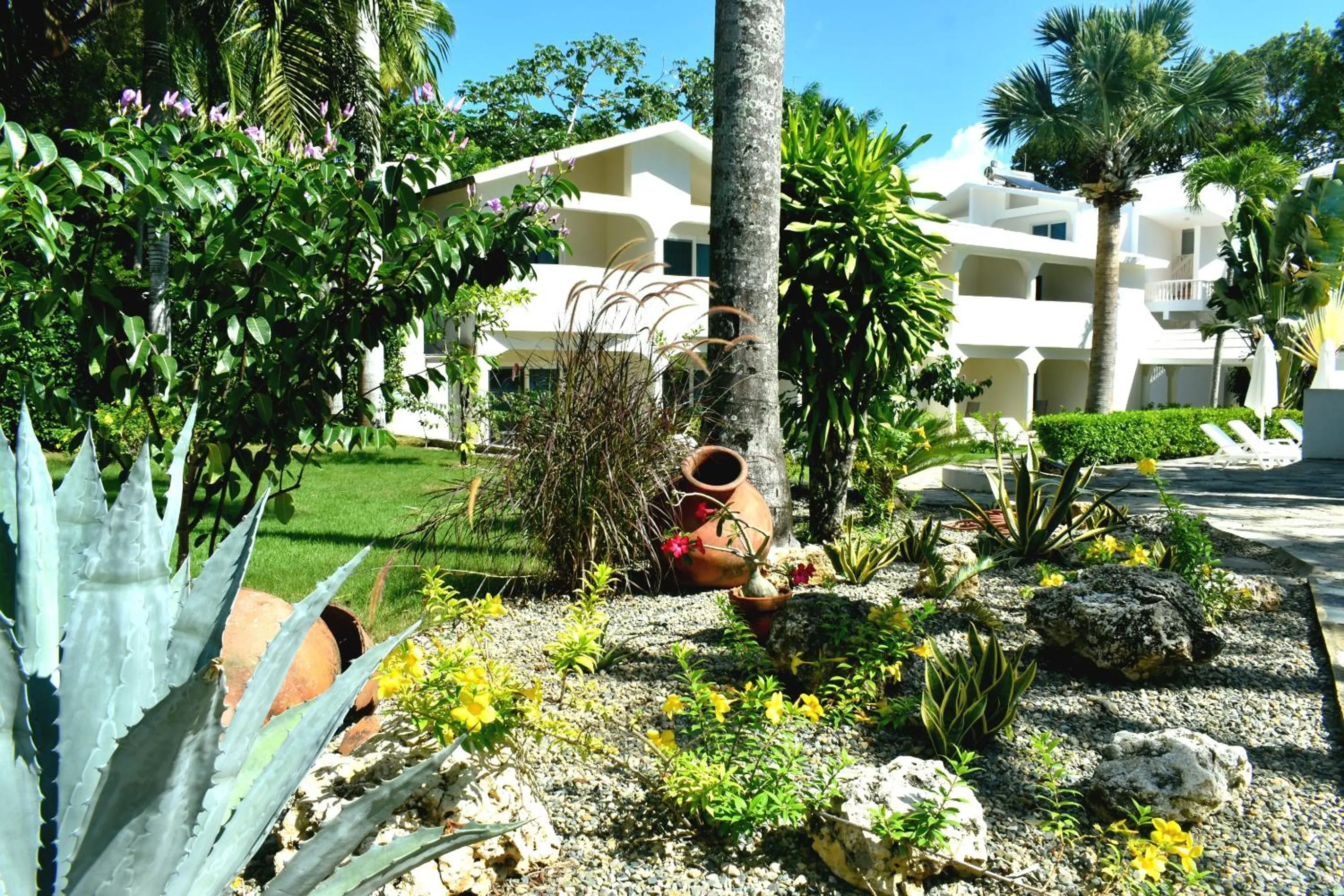 Natural landscape in Tropical Casa Laguna