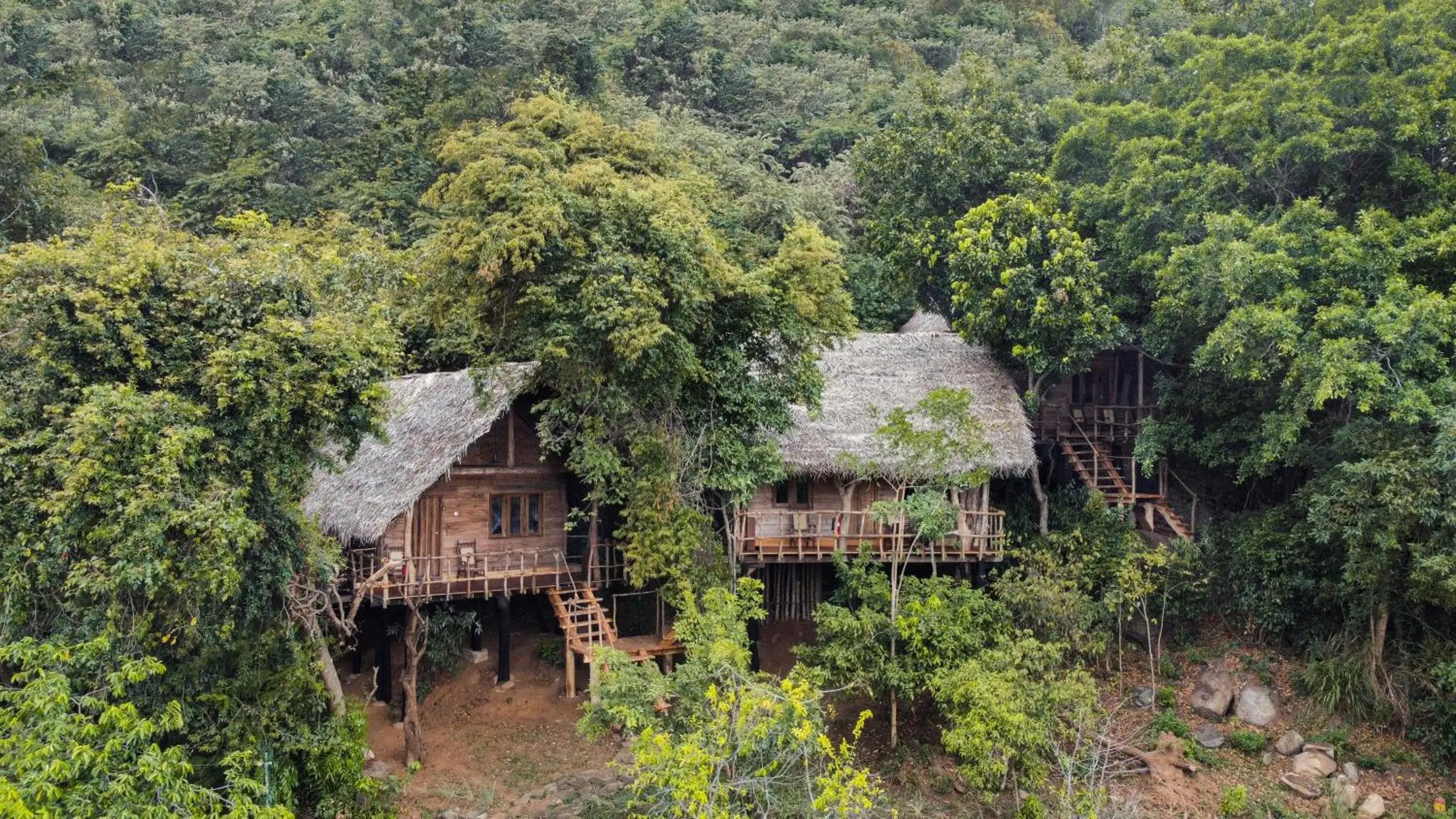 Tree House - single occupancy in Amuna Ayurveda and Wellness Retreat Tree House - single occupancy in Amuna Ayurveda and Wellness Retreat