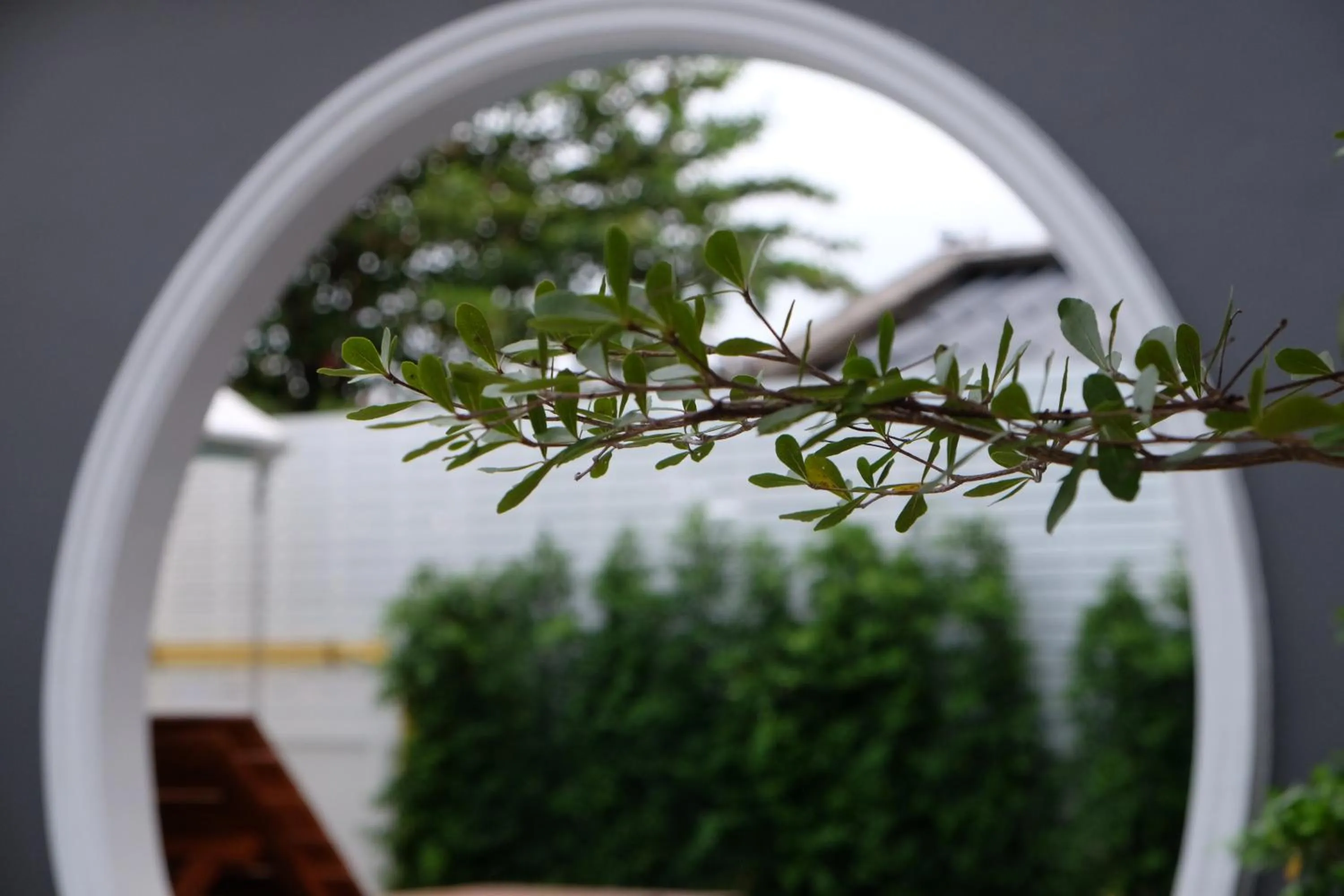 On site in The Besavana Phuket - SHA Extra Plus