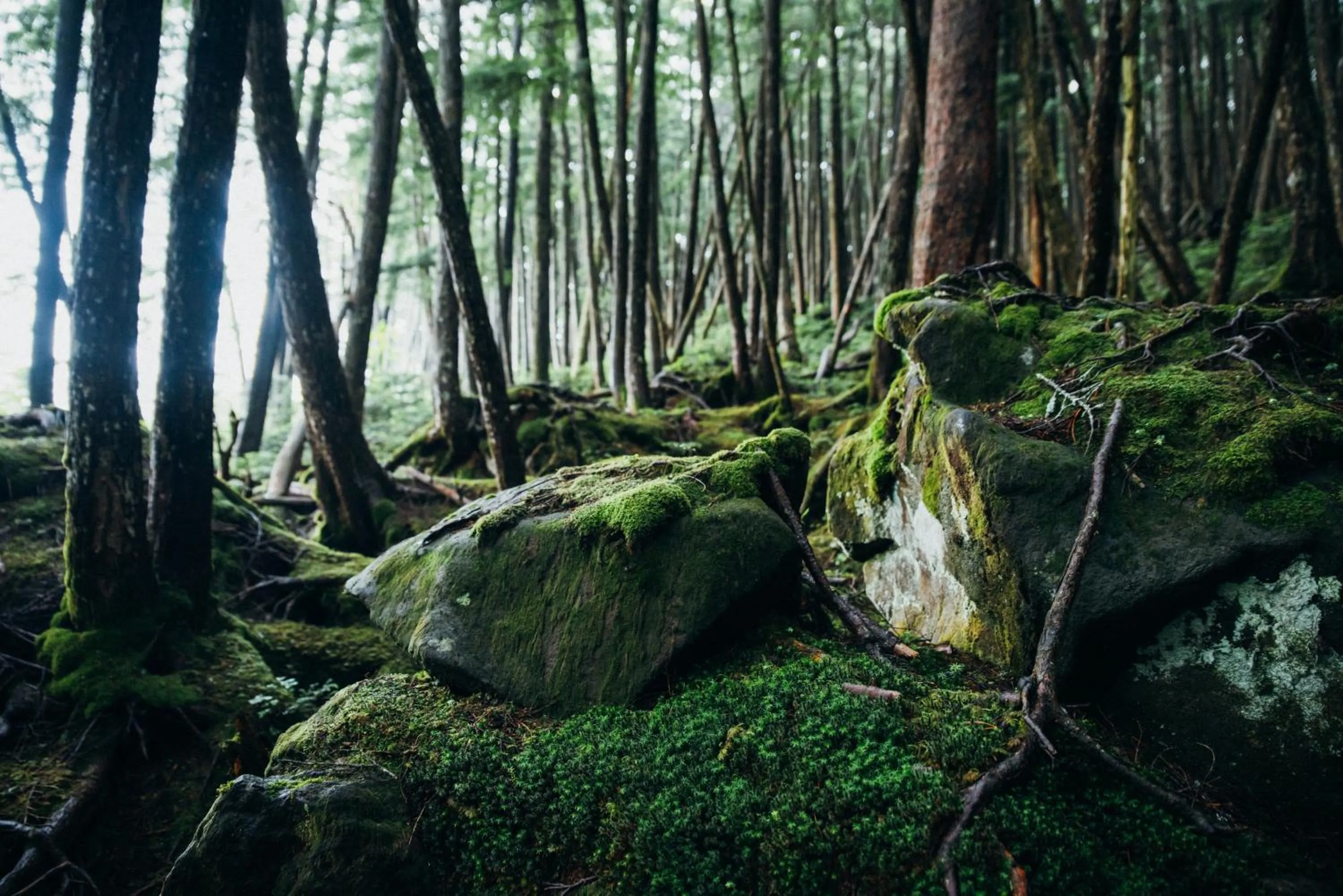 Nearby landmark in Spa & HOTEL La fontaine