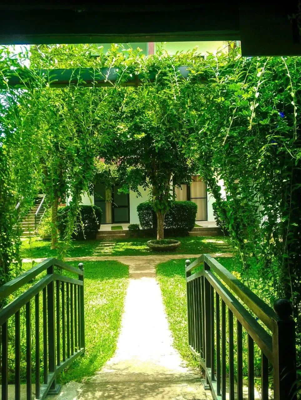 Garden in Organic Garden Resort Sigiriya