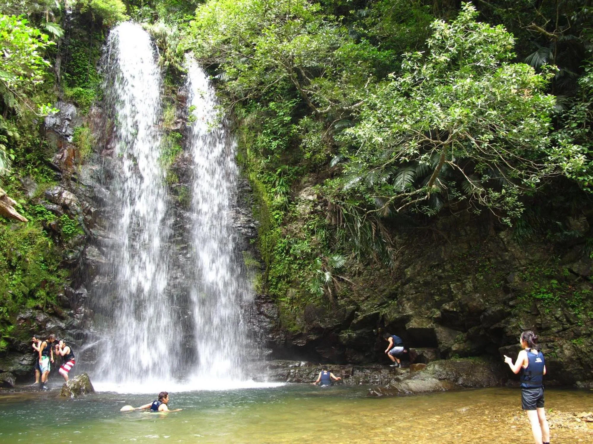 Hiking in Rose Terrace Bise
