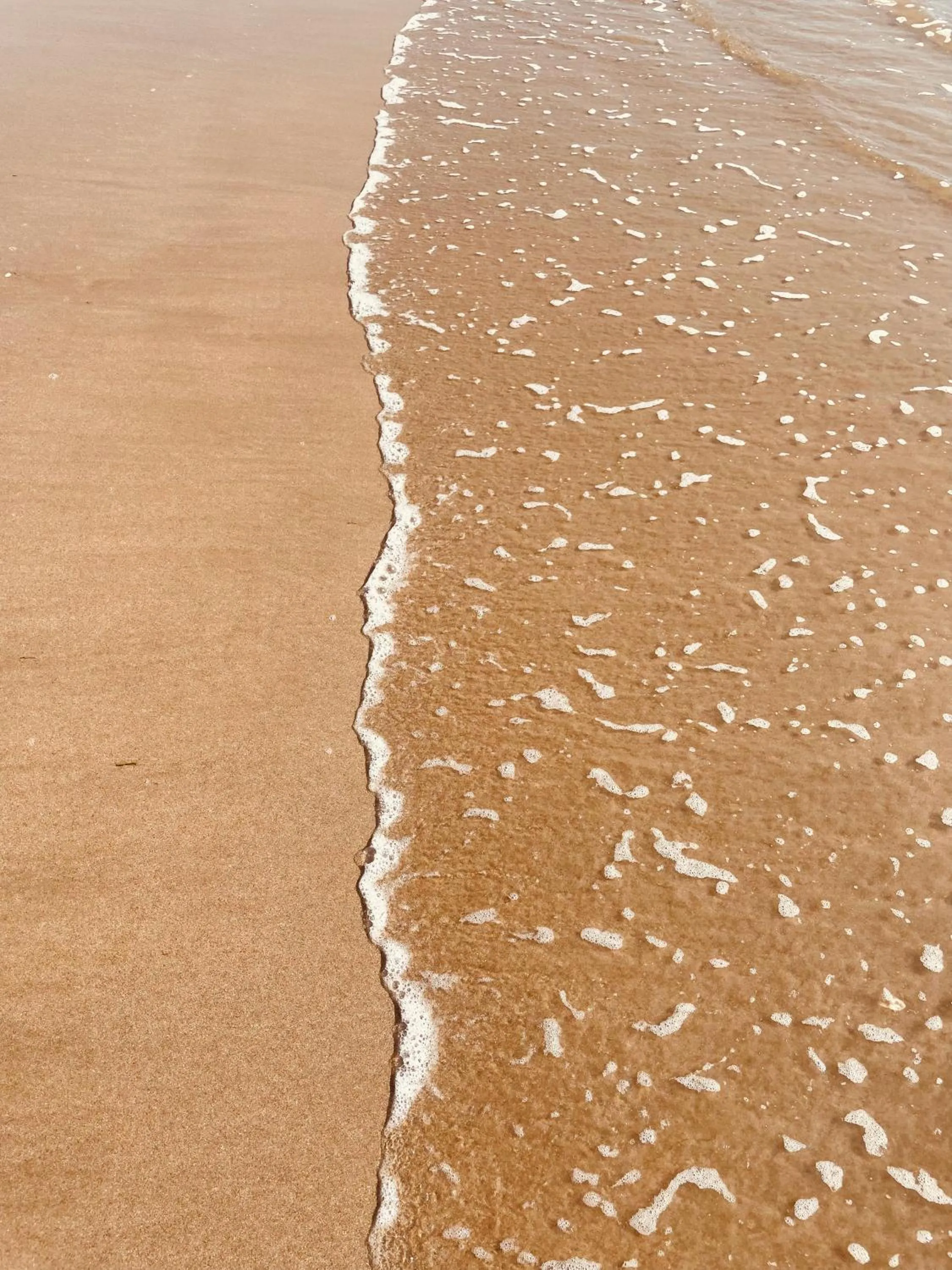 Beach in Hôtel L'Albatros