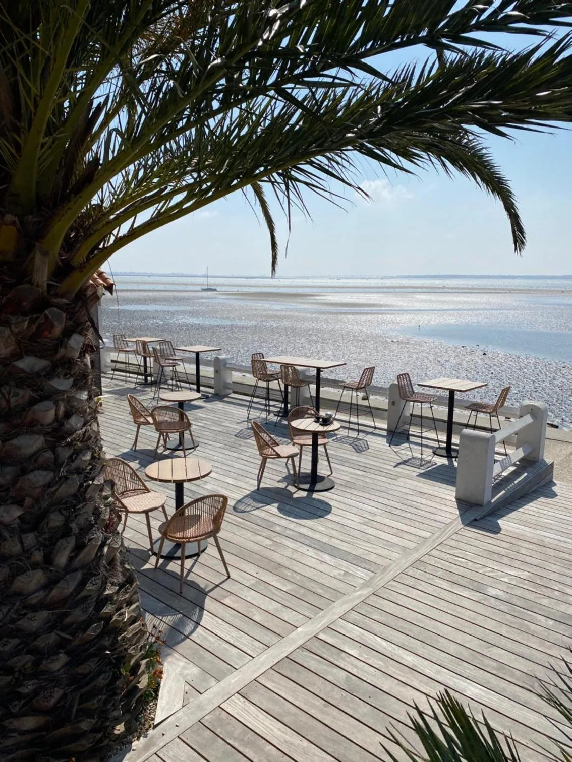 Patio in Hôtel L'Albatros