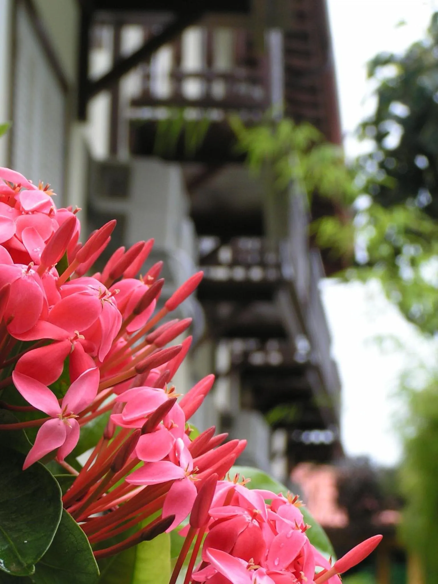 Other in Pousada Costa Del Sol