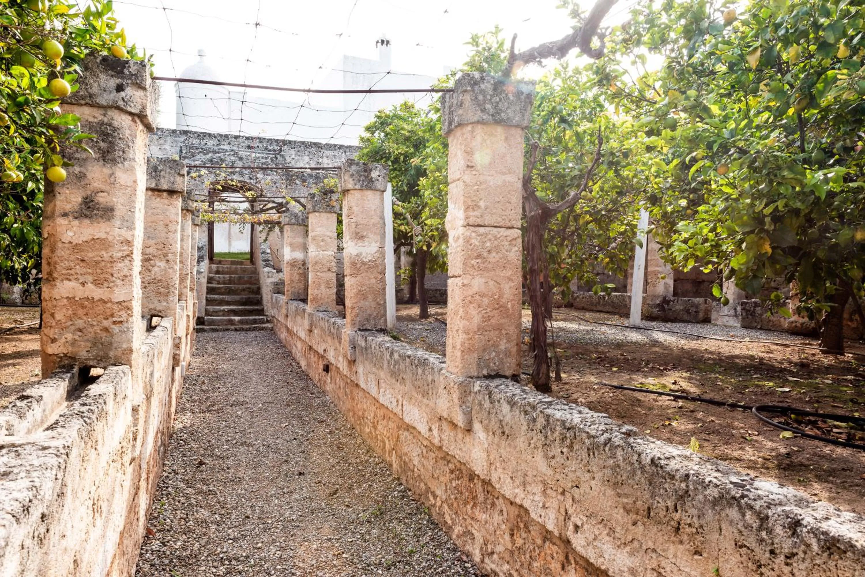Garden in Masseria Borgo San Marco