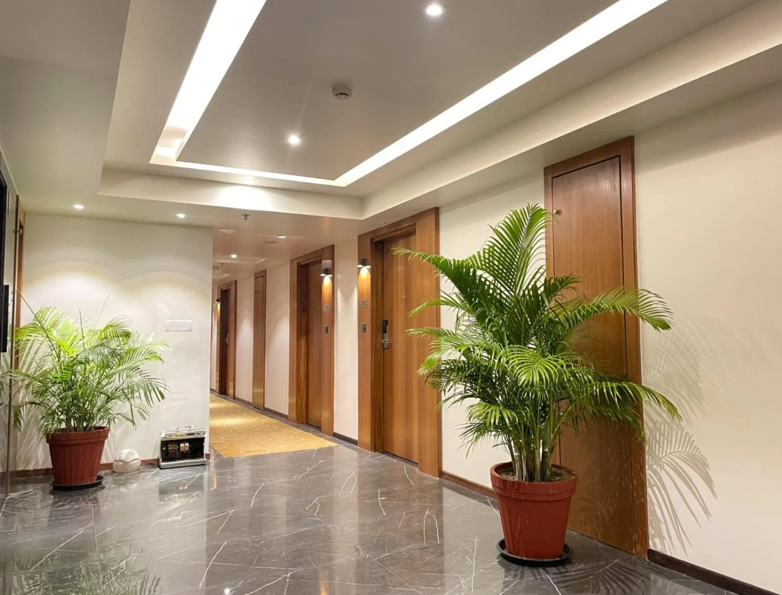 Lobby or reception in Comfort Hotel Vista
