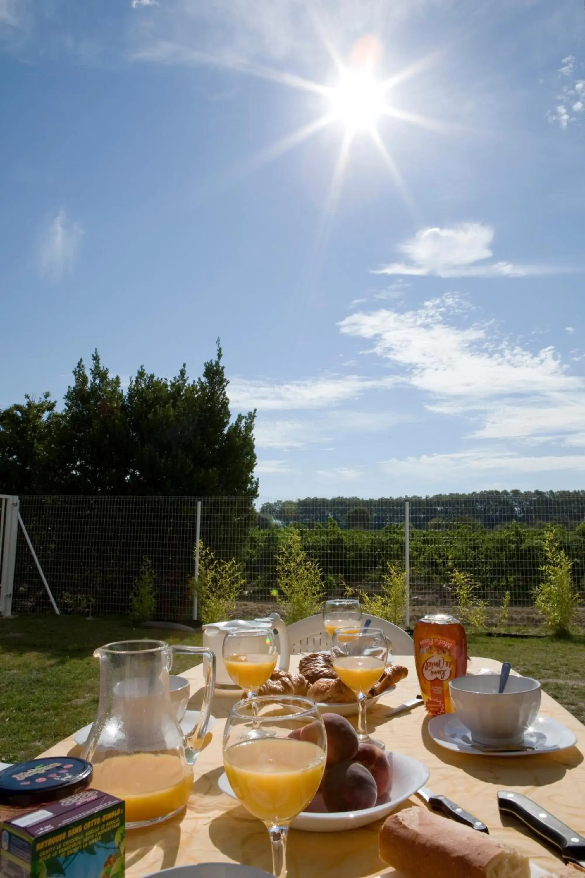 Restaurant/places to eat in Vacancéole - Le Domaine d'Enserune Restaurant/places to eat in Vacancéole - Le Domaine d'Enserune