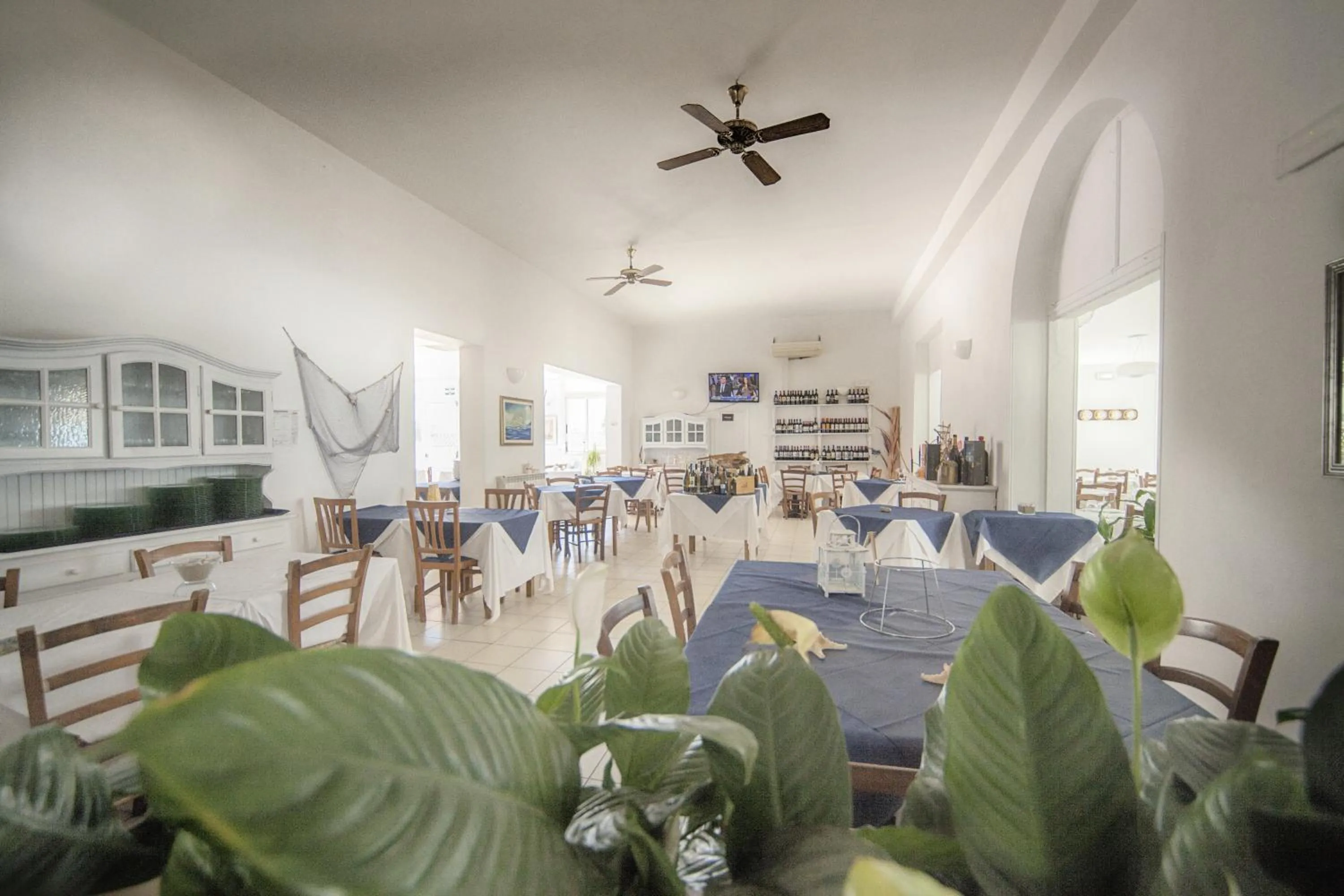 Restaurant/places to eat in Il Lido