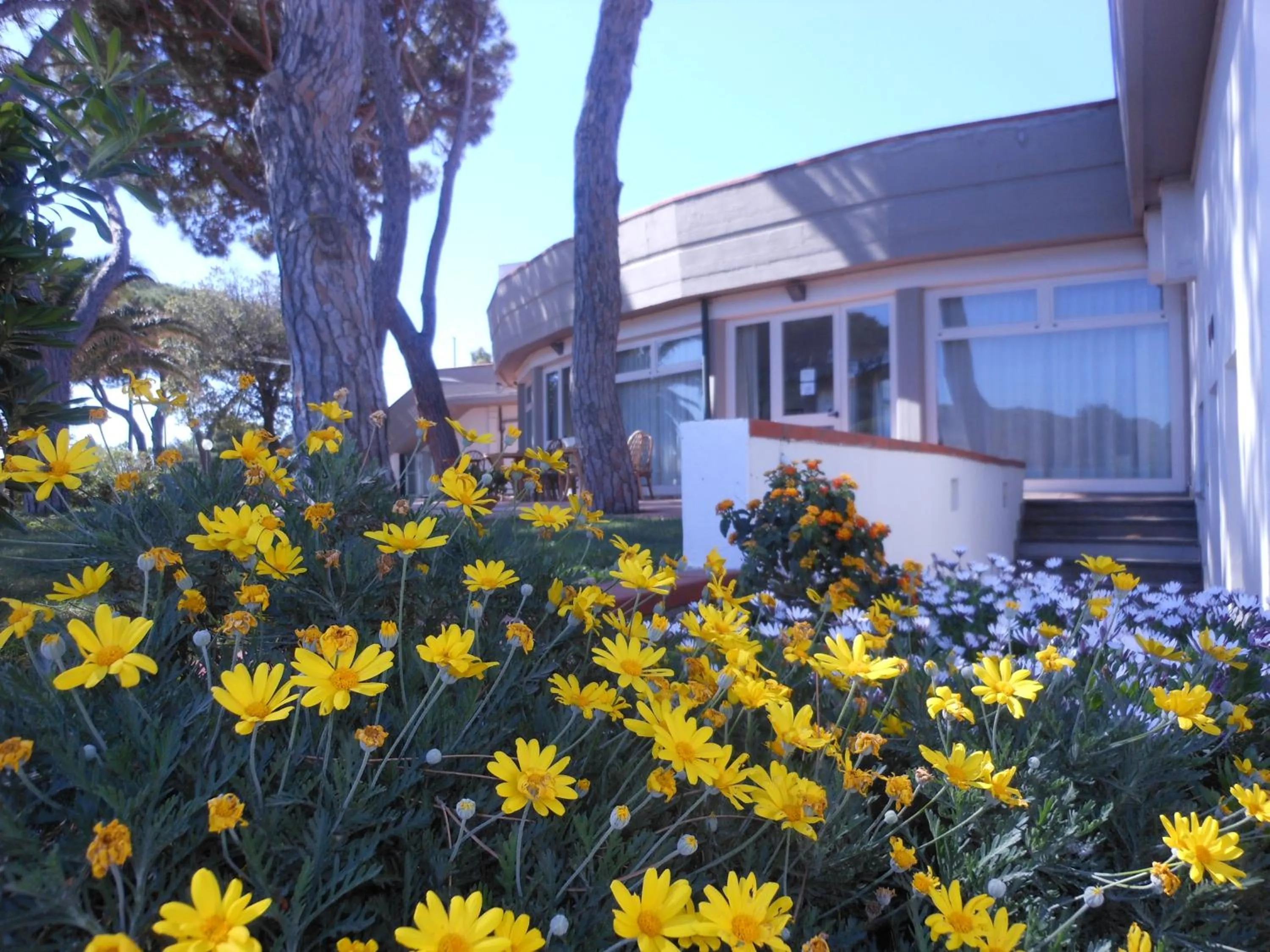 Facade/entrance in Il Lido