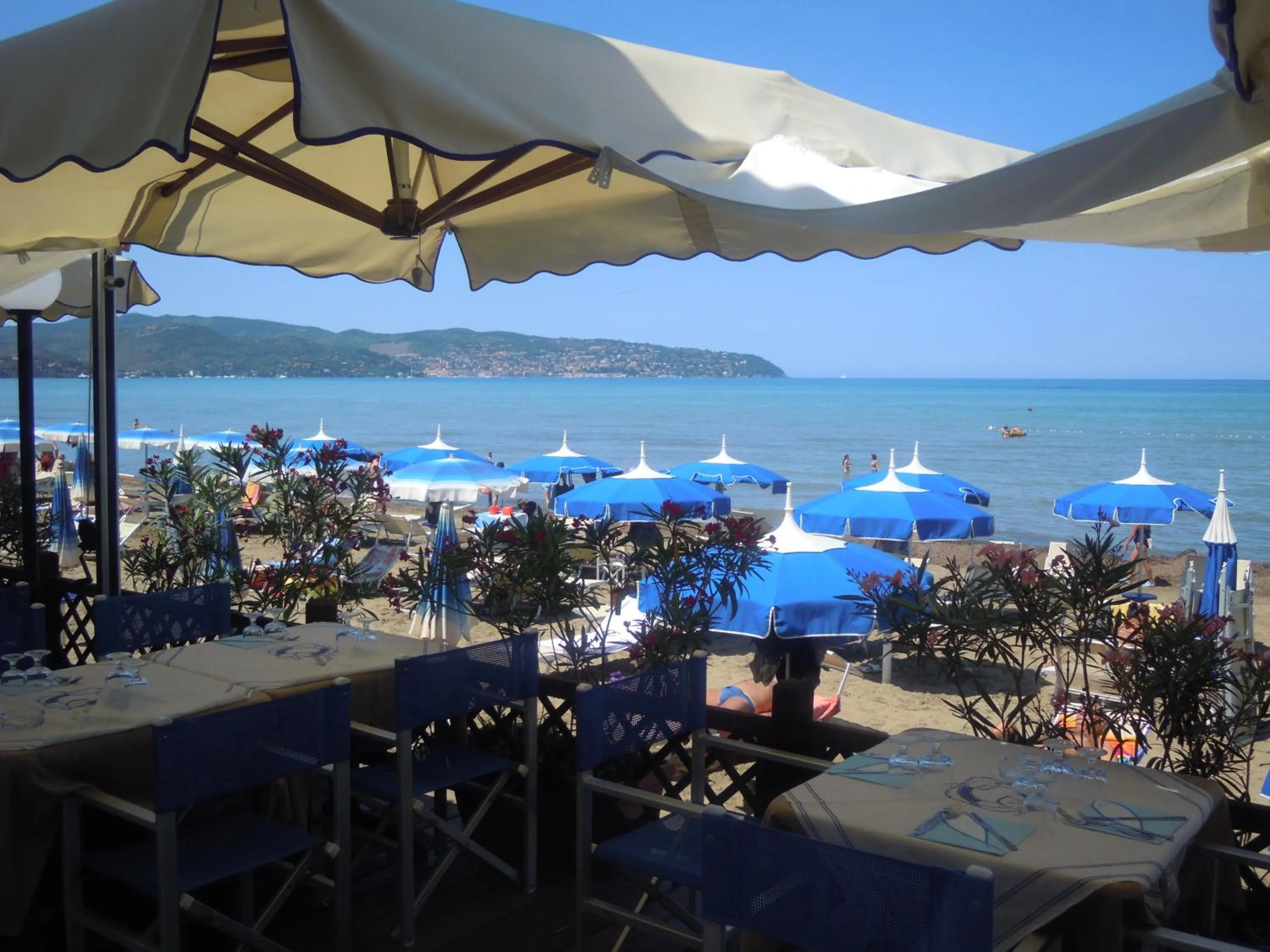 Restaurant/places to eat in Il Lido