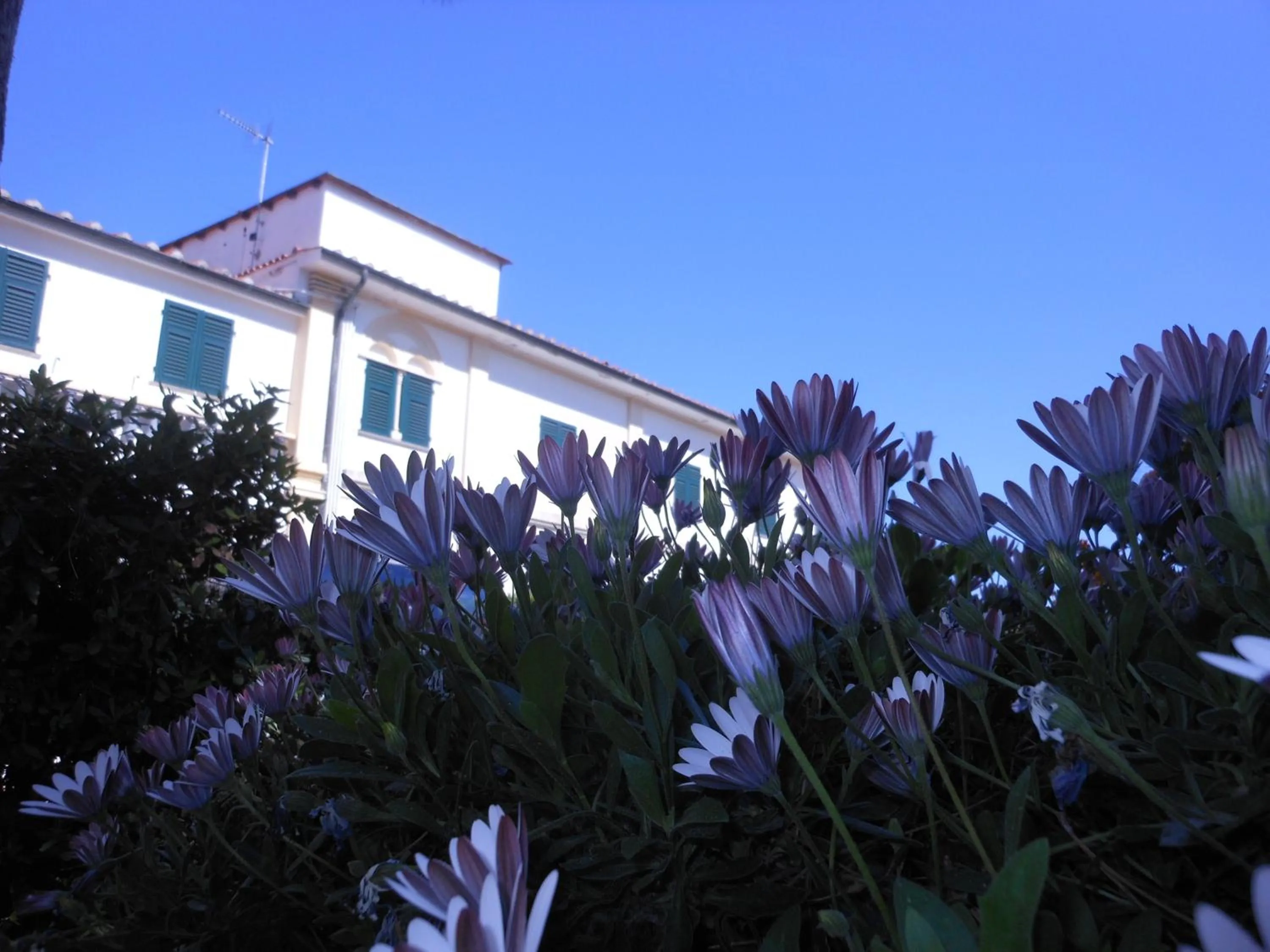 Facade/entrance in Il Lido