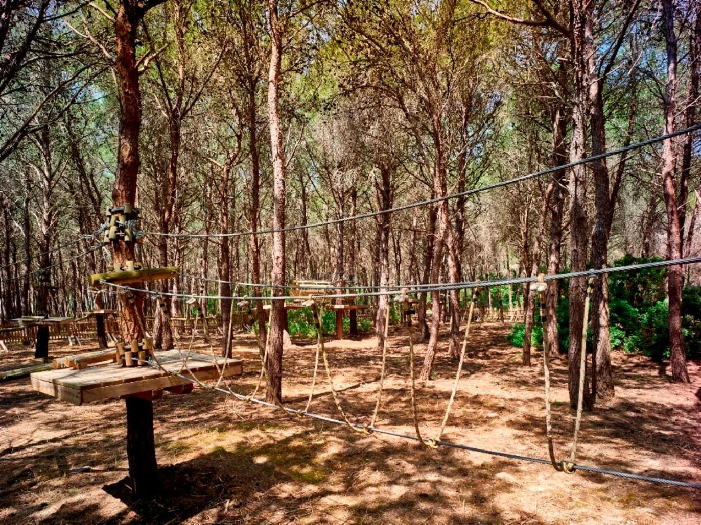 Day in Torreserena Resort