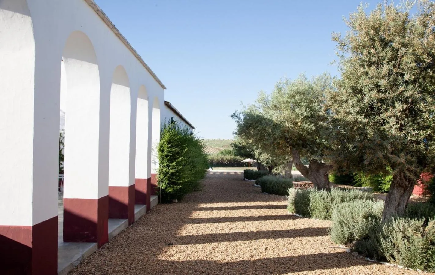 Garden in Quinta da Chaminé