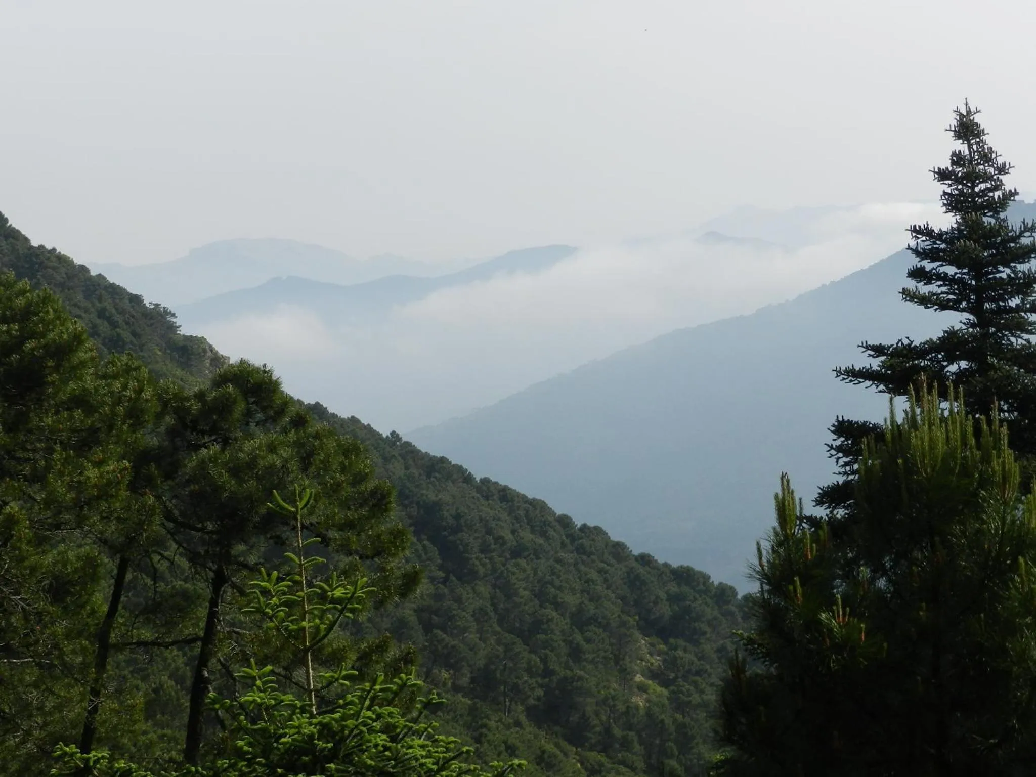 Landmark view in La Posada del Recovero