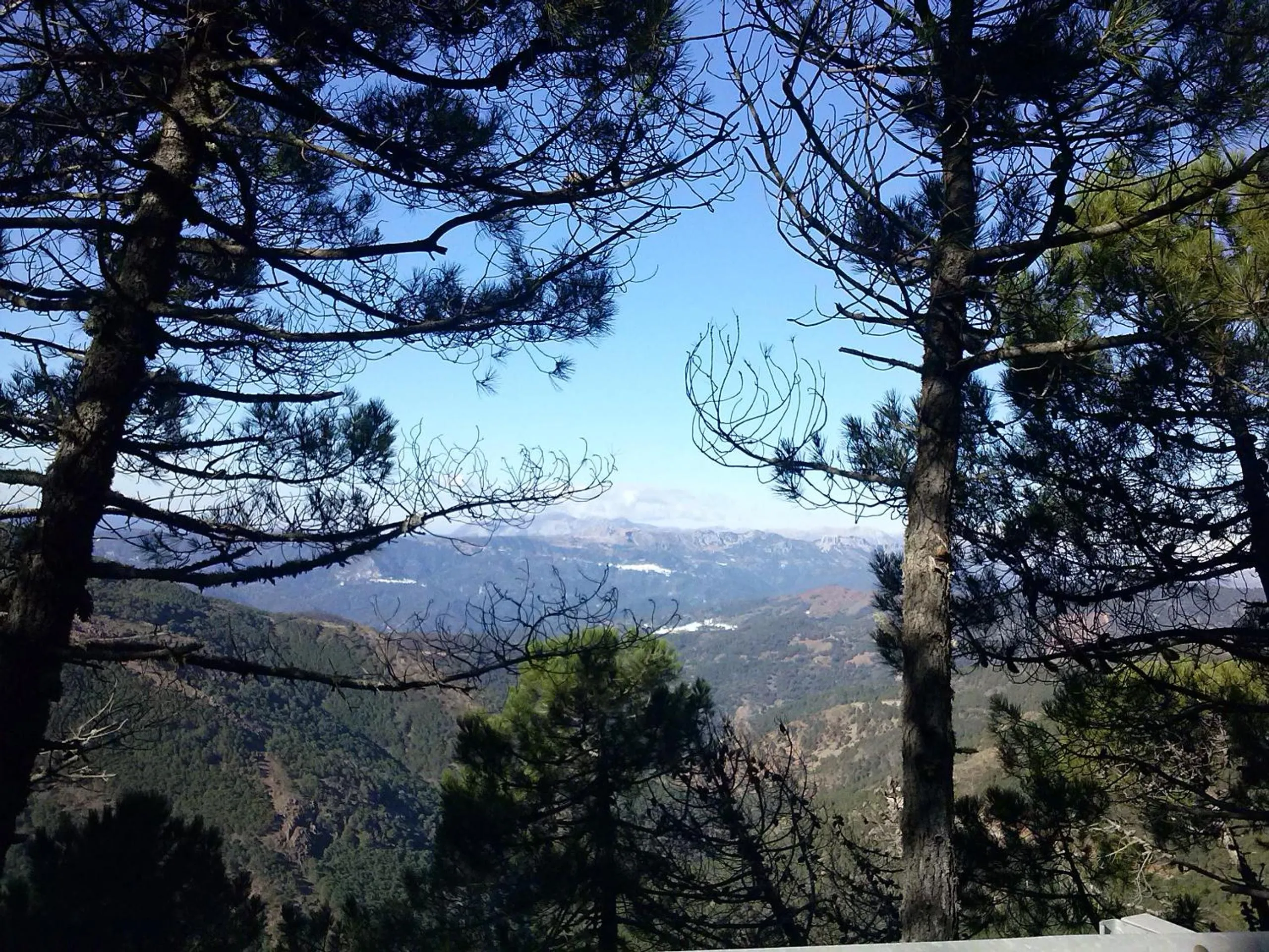 Natural landscape in La Posada del Recovero