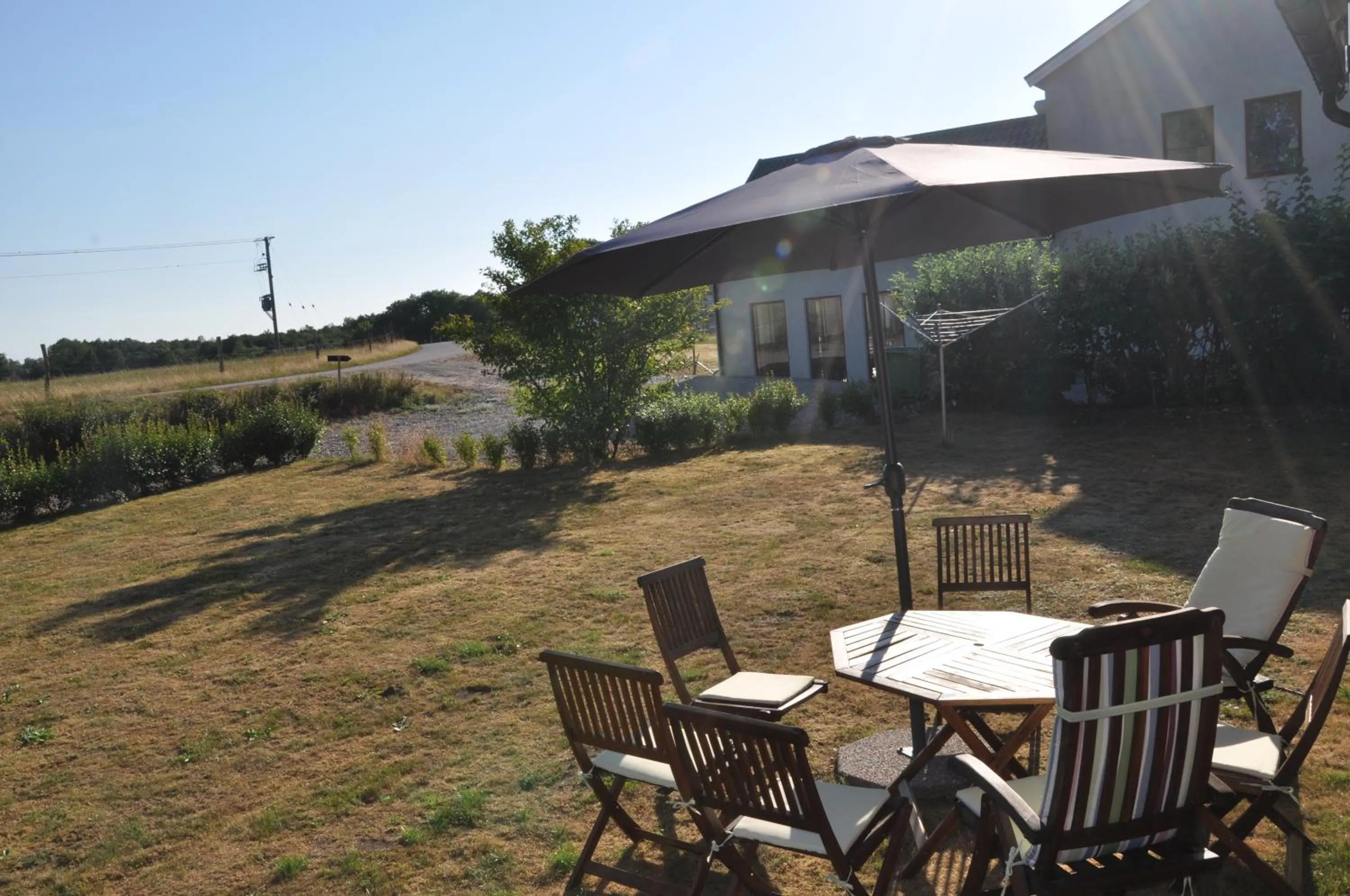 Garden view in Hotel Bella Luna