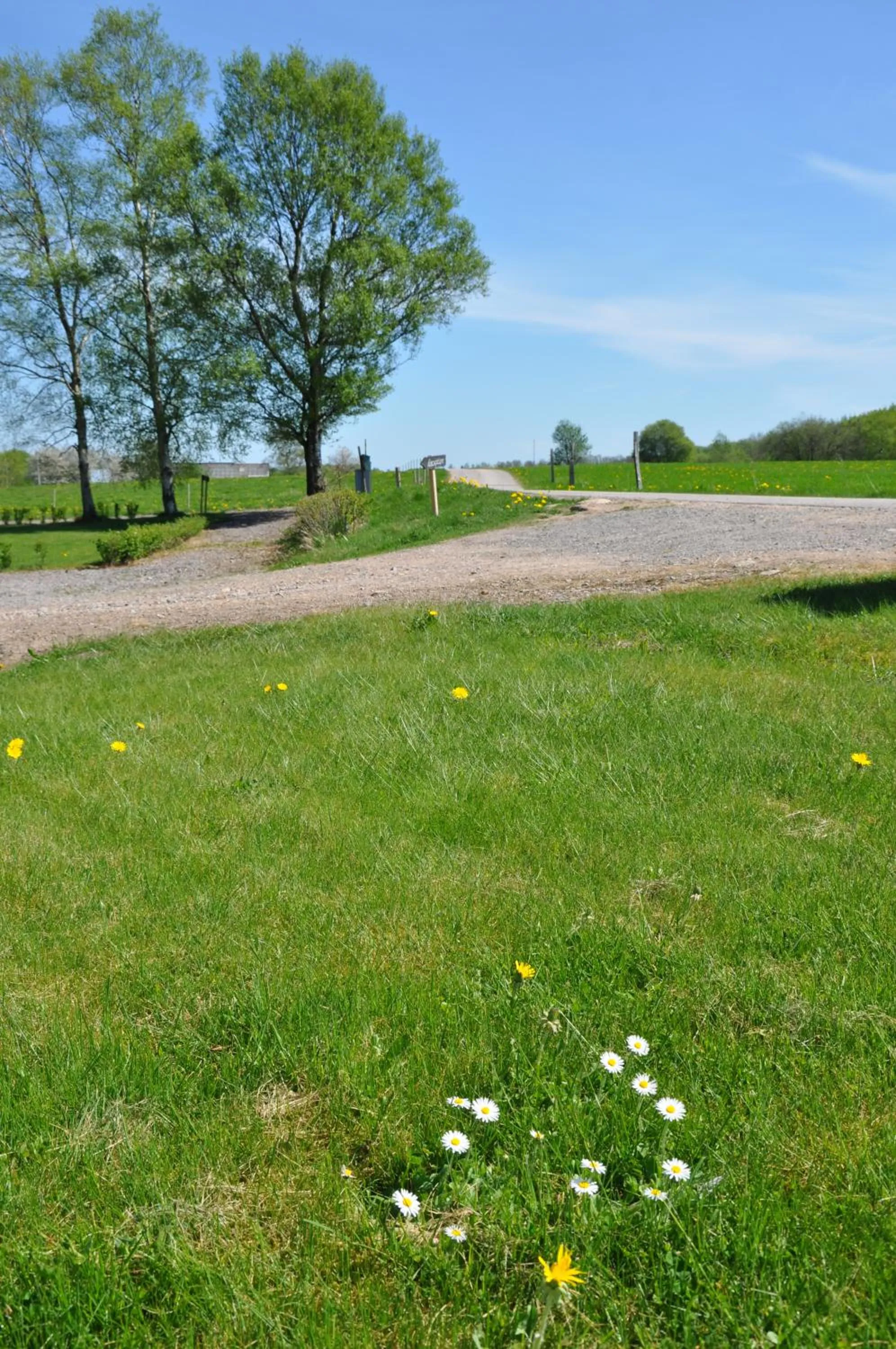 Natural landscape in Hotel Bella Luna