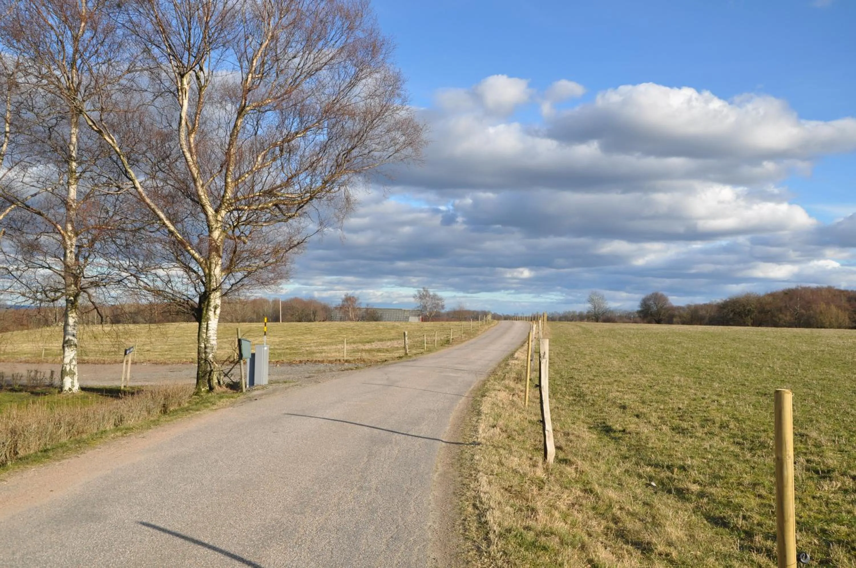Natural landscape in Hotel Bella Luna
