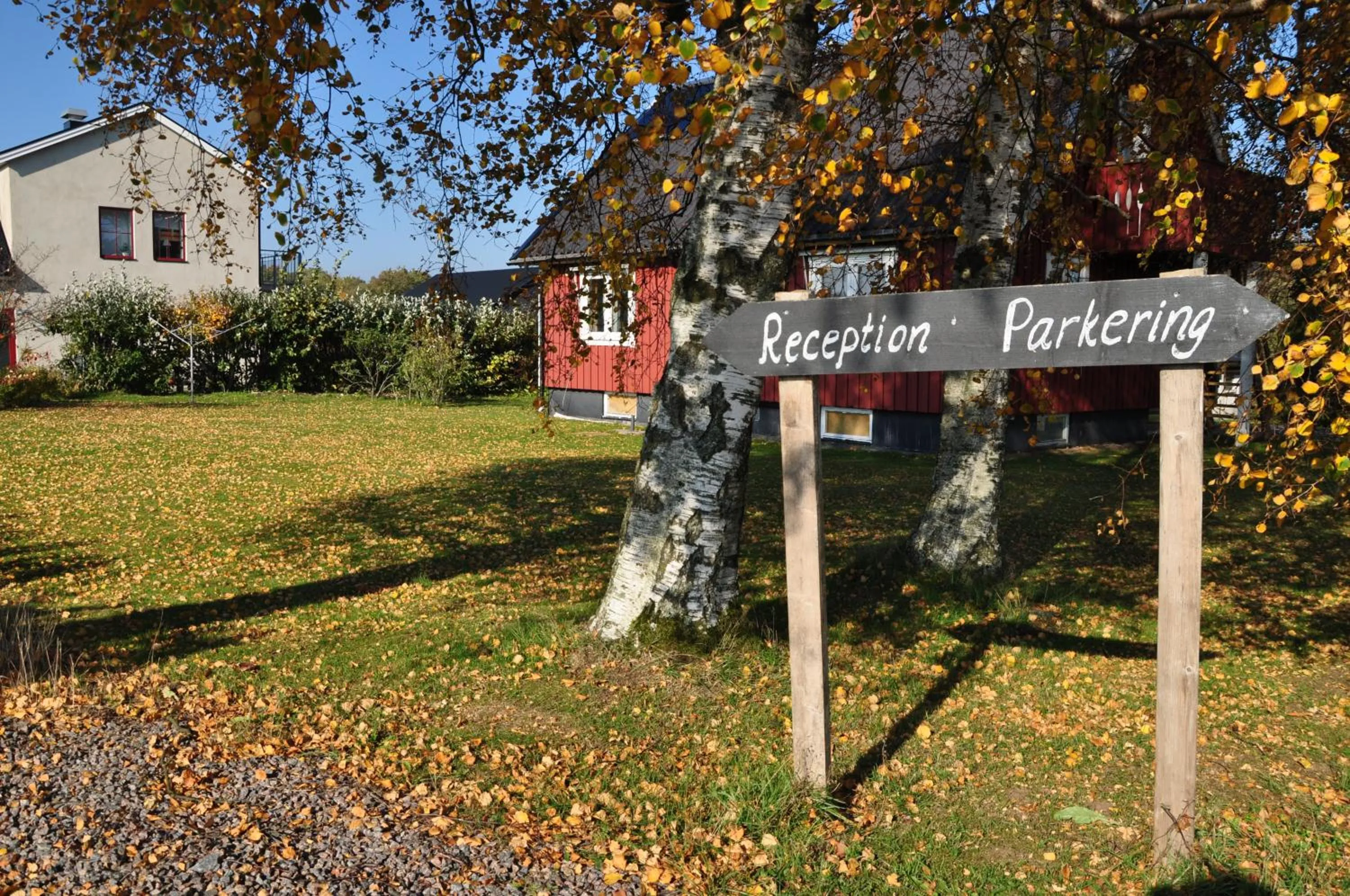Garden view in Hotel Bella Luna