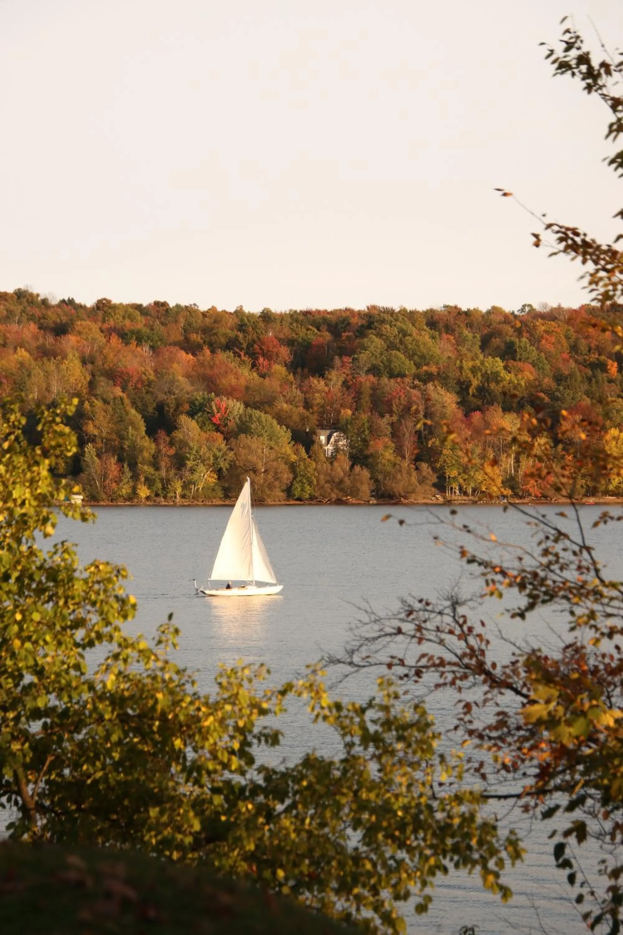 Natural landscape in Manoir Hovey, Relais & Châteaux
