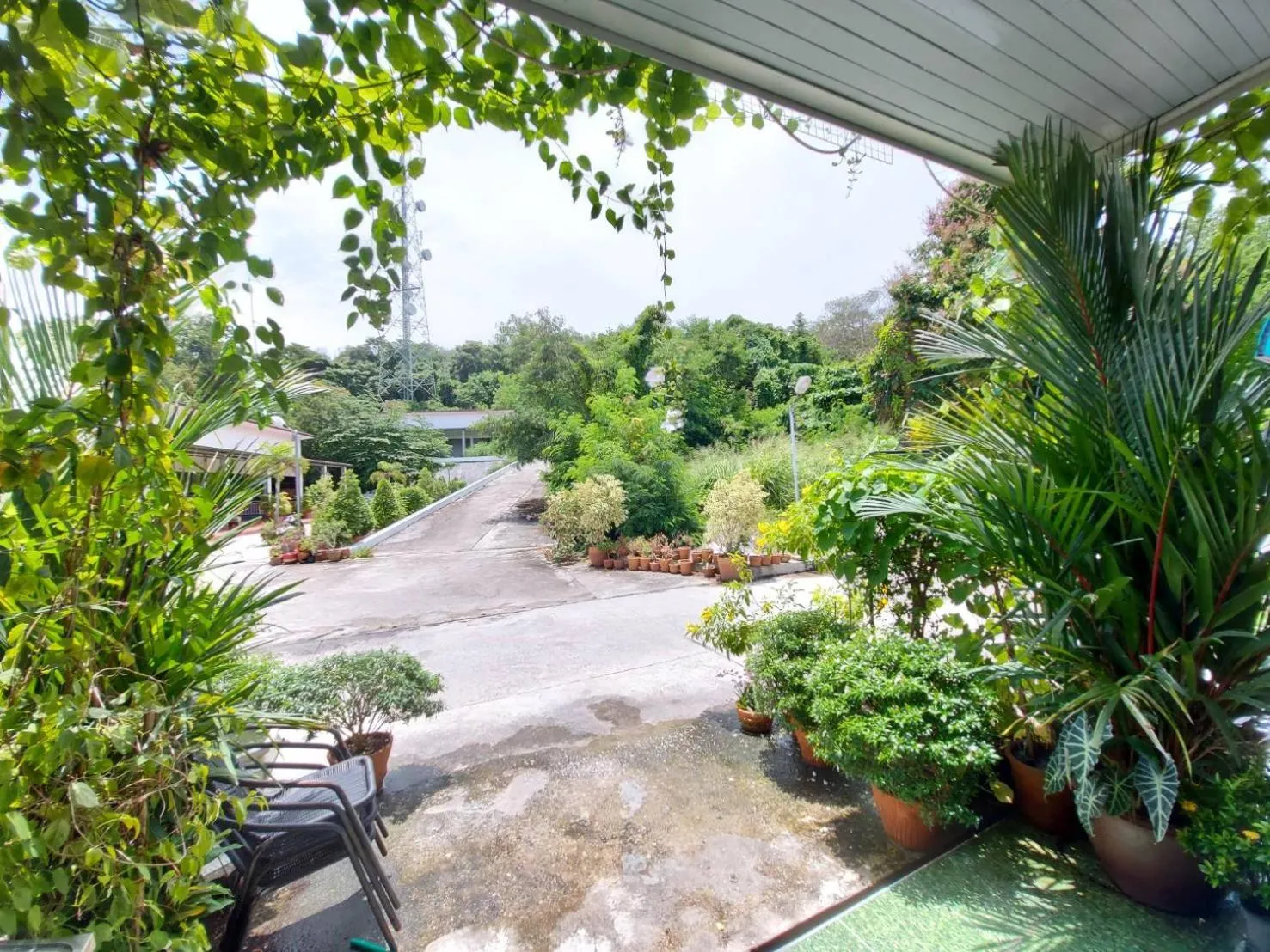 Baan AomSub