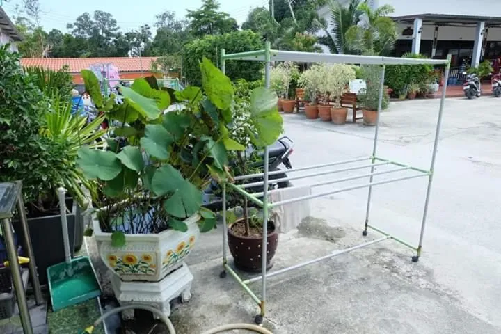 Baan AomSub