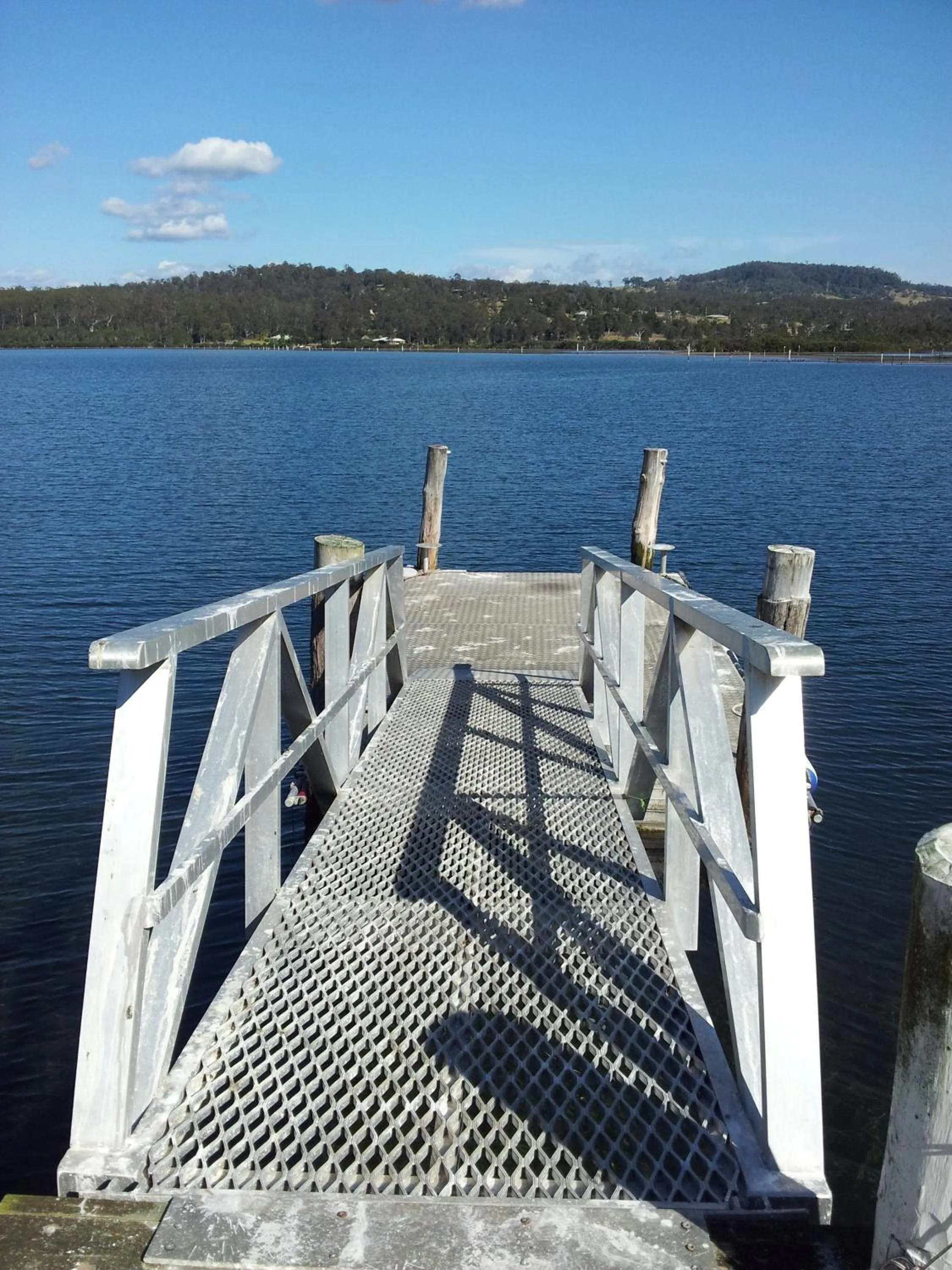 Day in Robyn's Nest Lakeside Resort