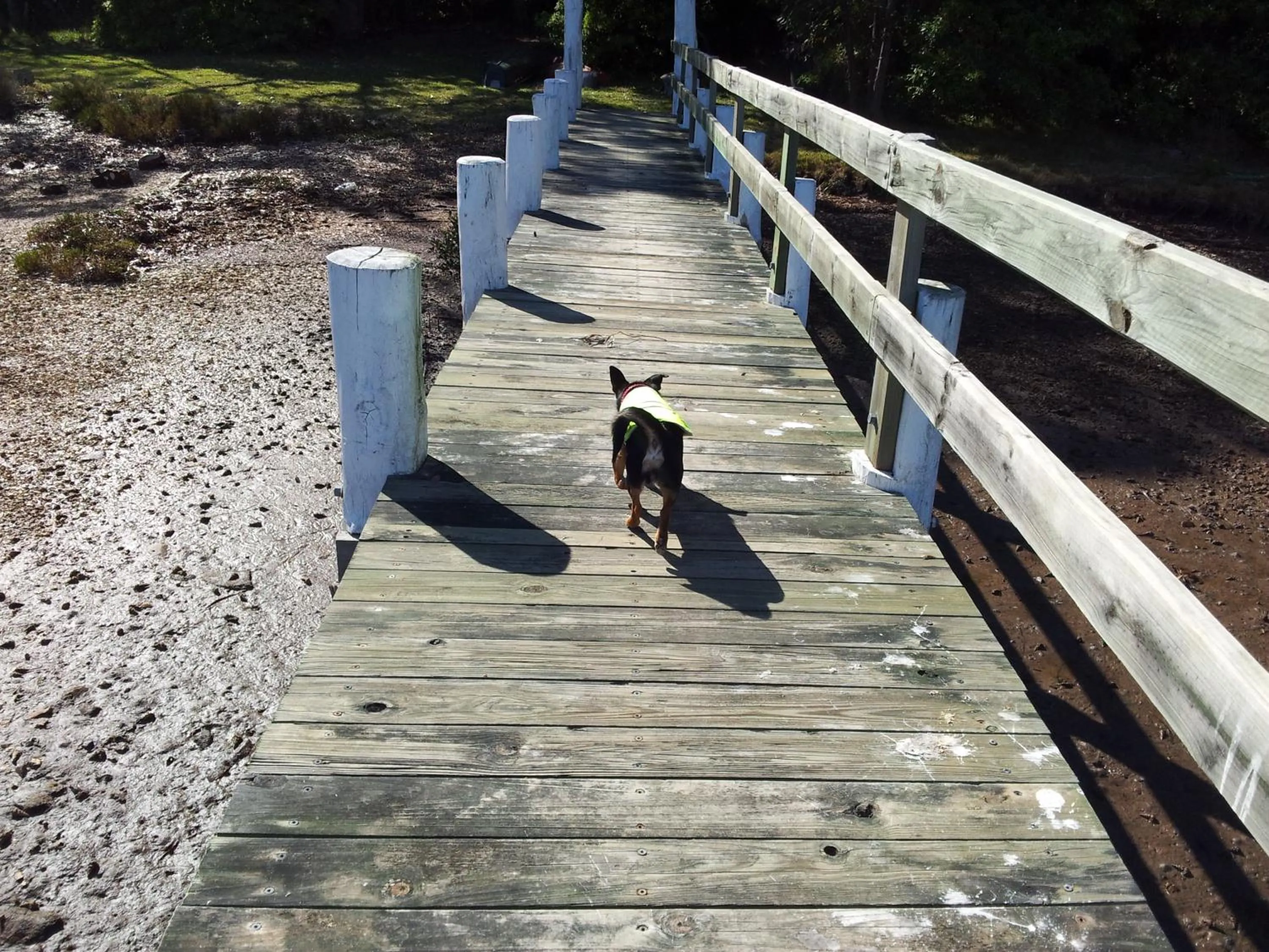 Day in Robyn's Nest Lakeside Resort