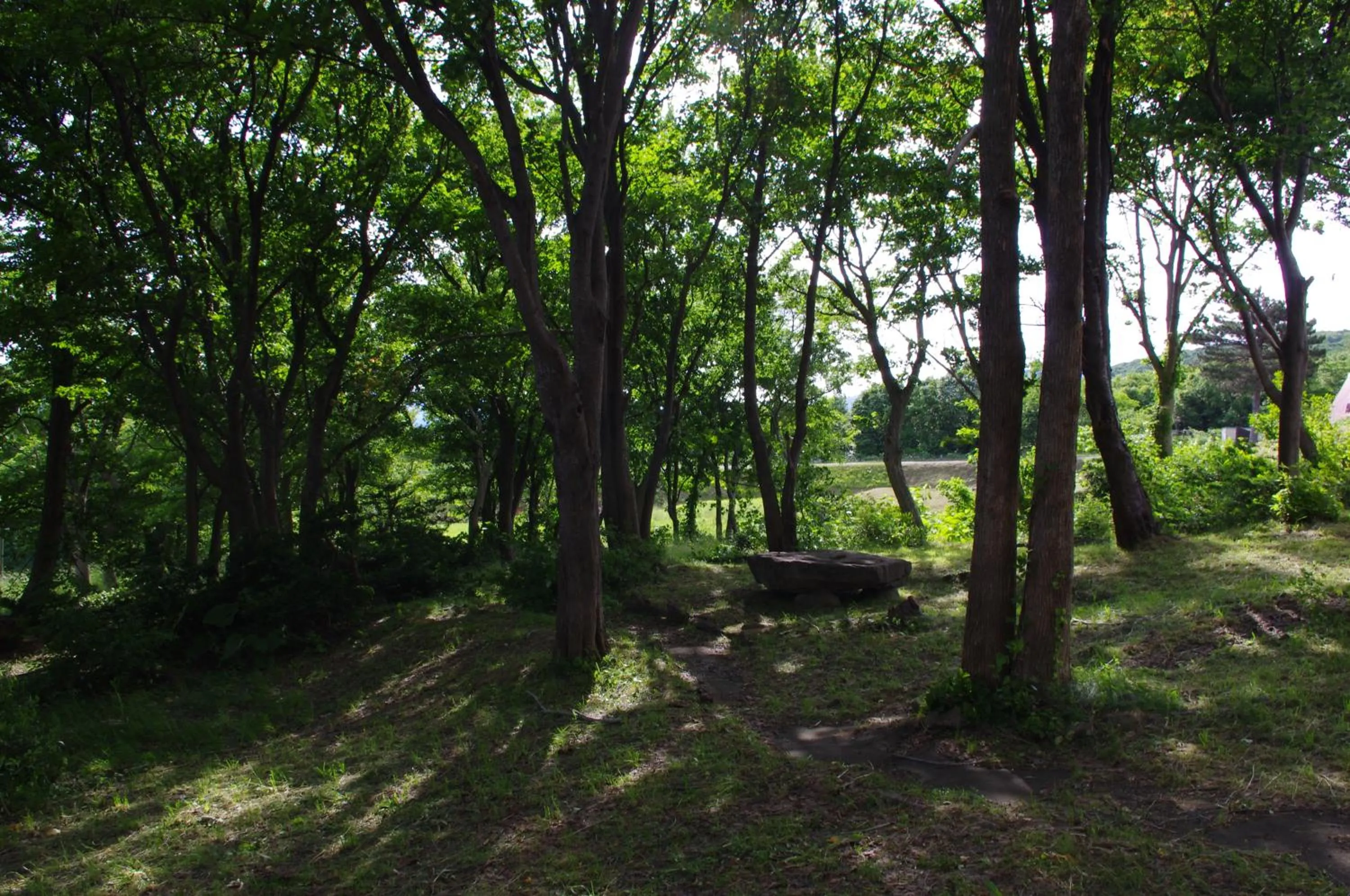 Hiking in Iwanai Kogen Hotel