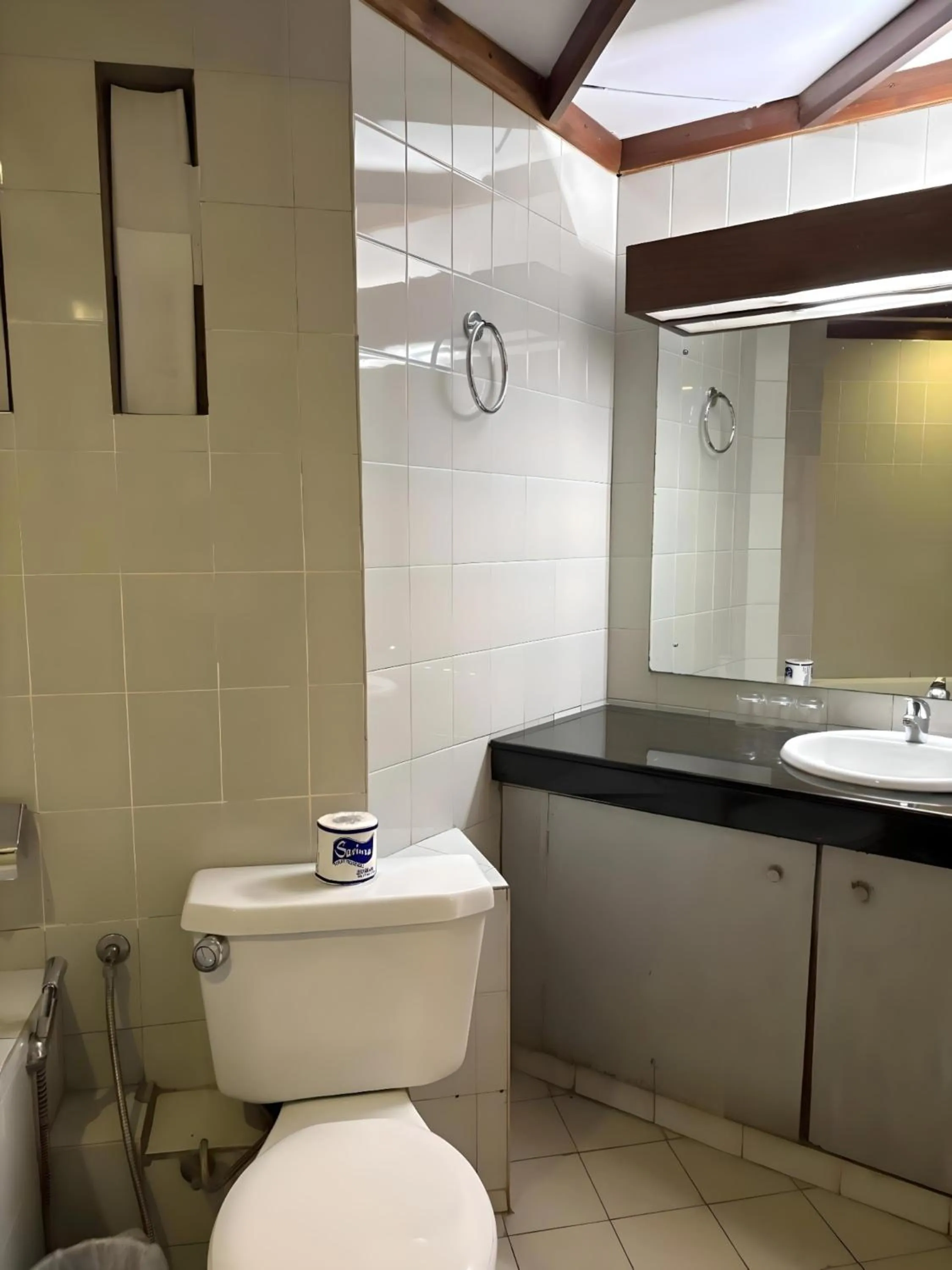 Bathroom in Hotel Janaki