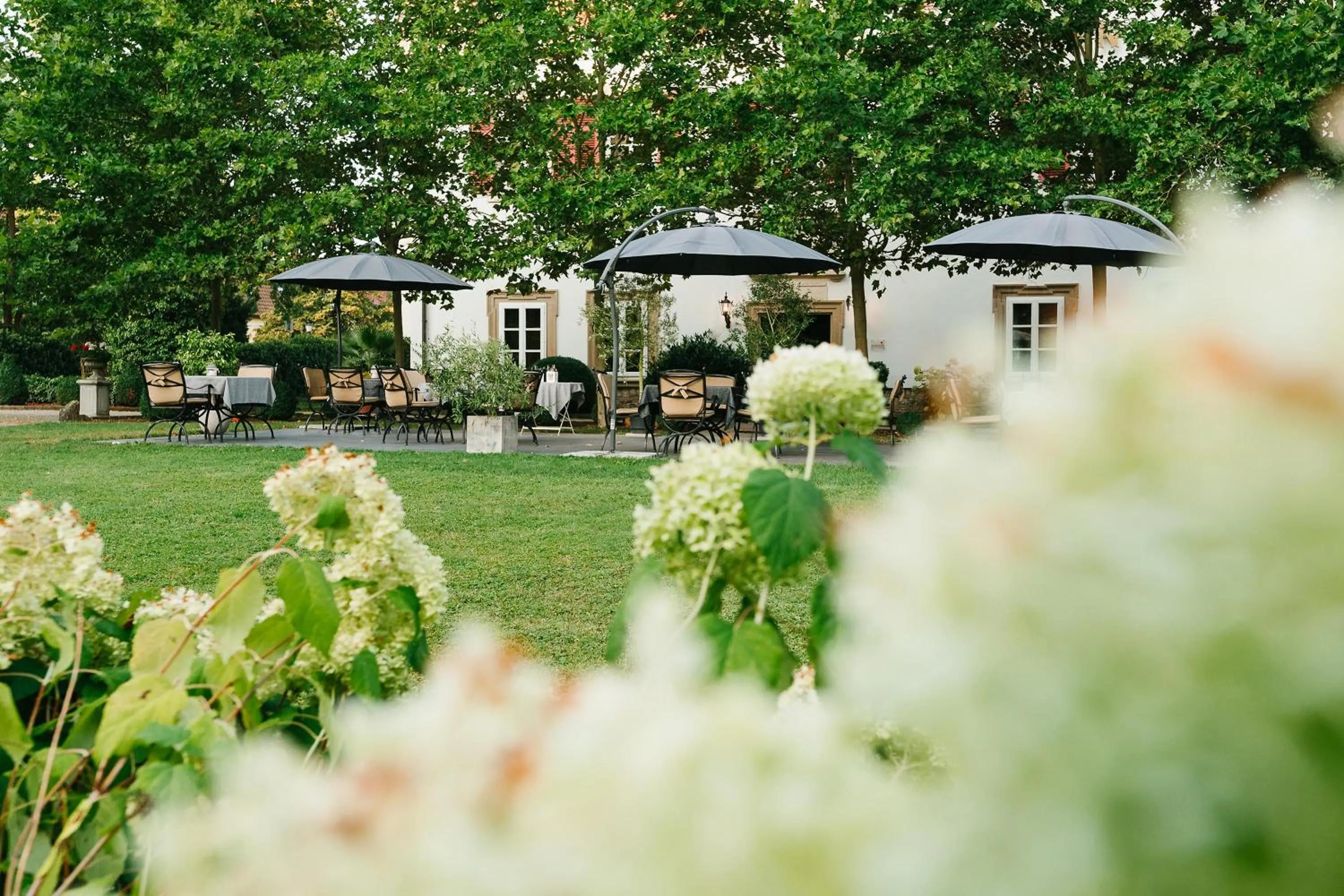 Garden in Hotel Schloss Lehen