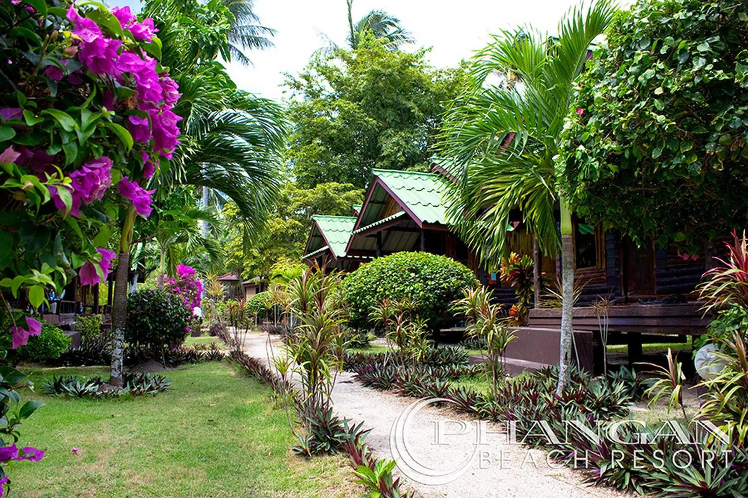 Garden in Phangan Beach Resort